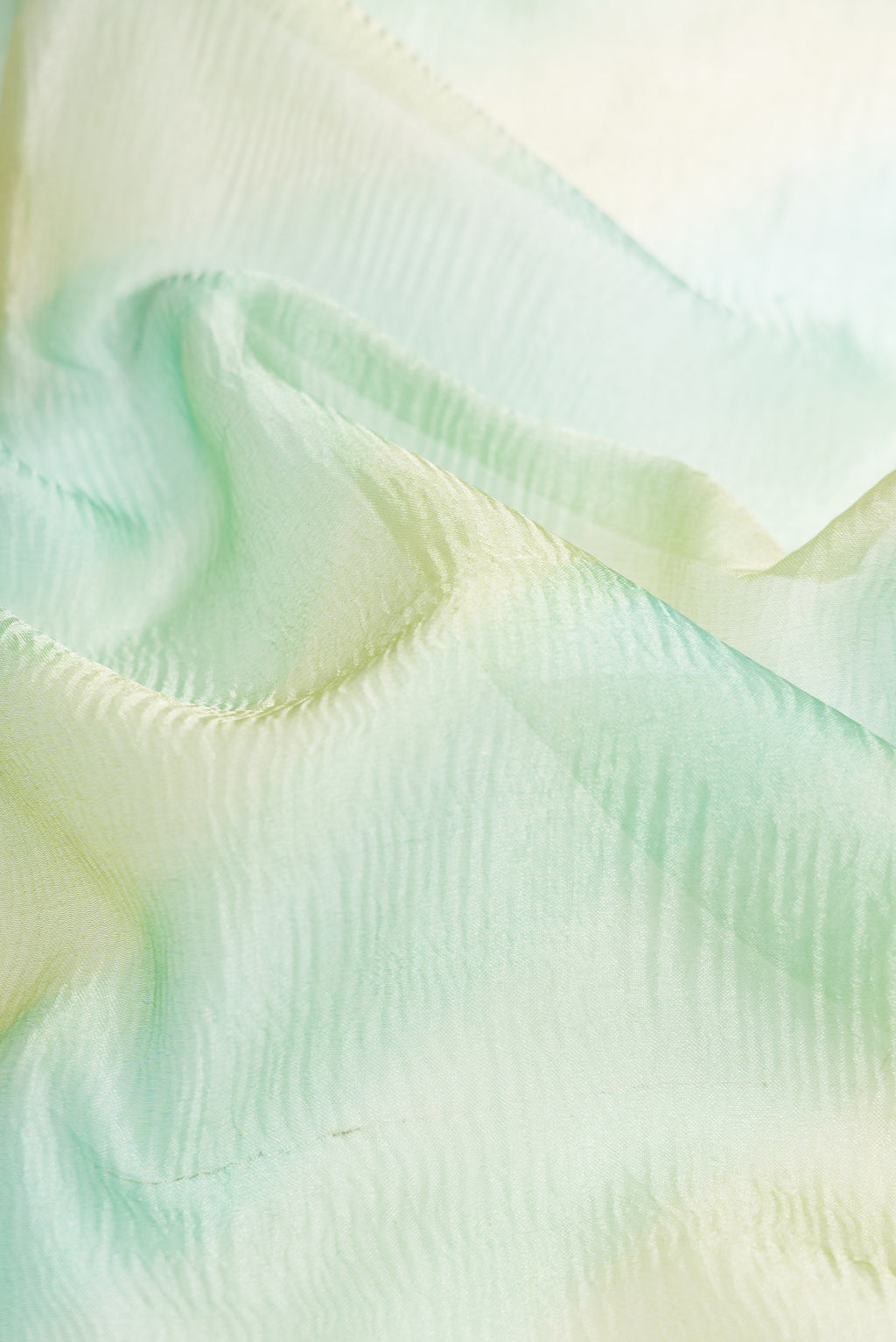 Close up of Pista Green Dual Tone Organza Silk Saree with Stripes on the body and Embroidery Border.  displaying folds
