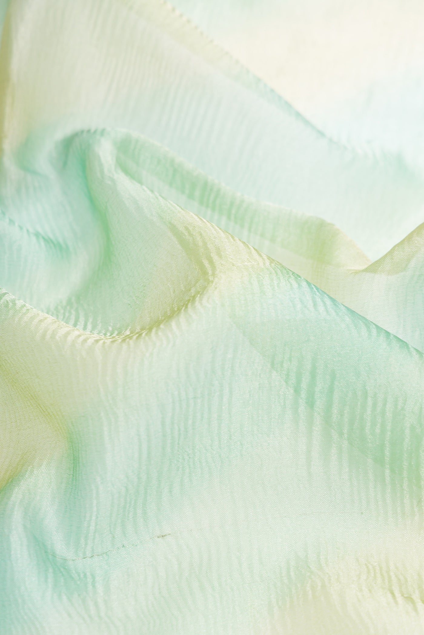Close up of Pista Green Dual Tone Organza Silk Saree with Stripes on the body and Embroidery Border.  displaying folds
