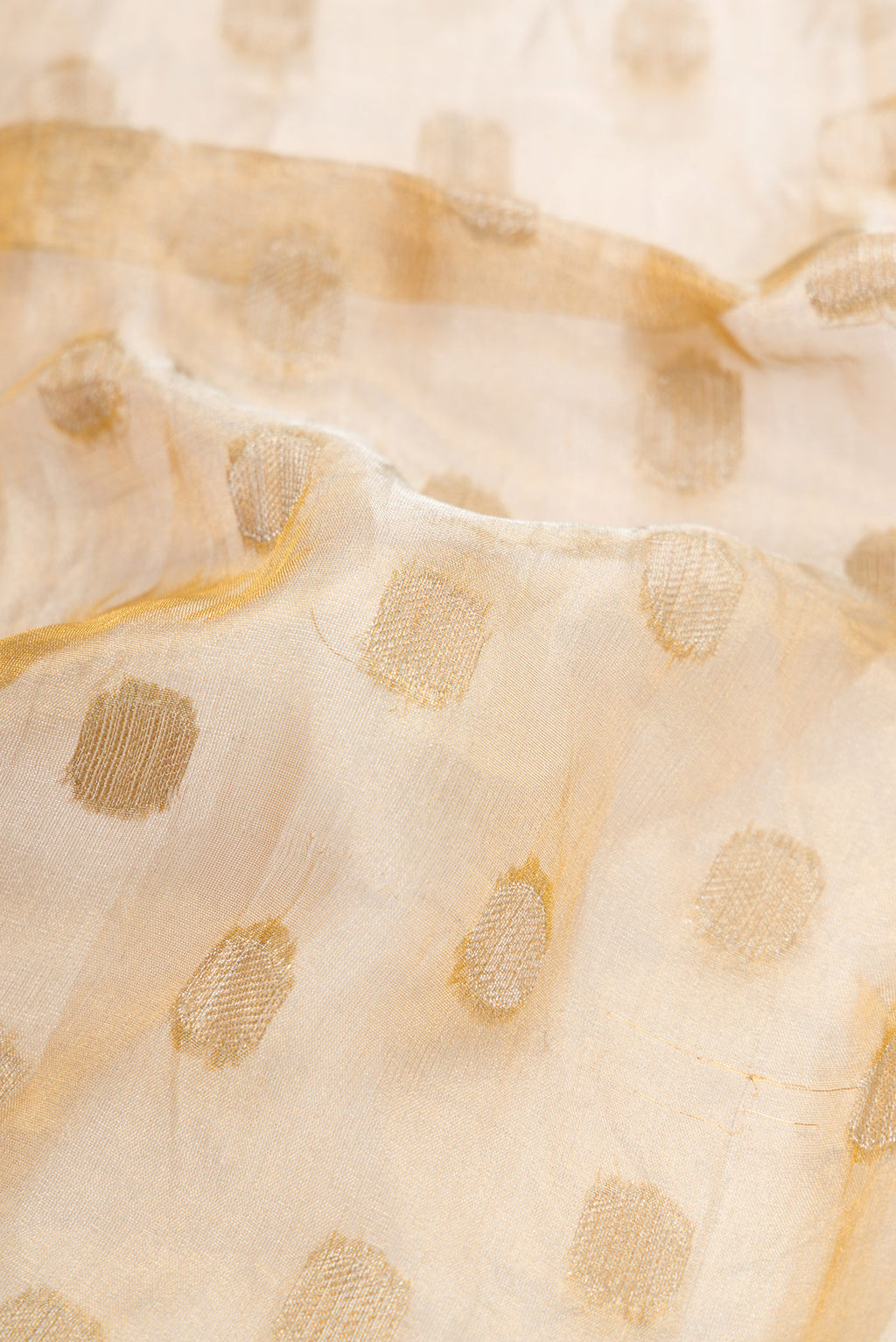 Close up of Gold Dual Tone Organza Silk Saree with Zari Butta on the body and Embroidery Border.  displaying folds