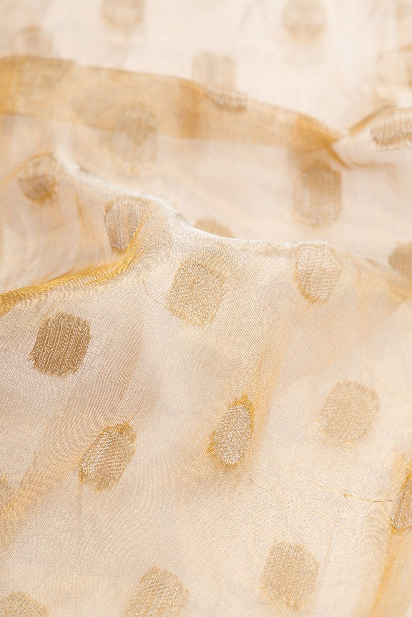 Close up of Gold Dual Tone Organza Silk Saree with Zari Butta on the body and Embroidery Border.  displaying folds