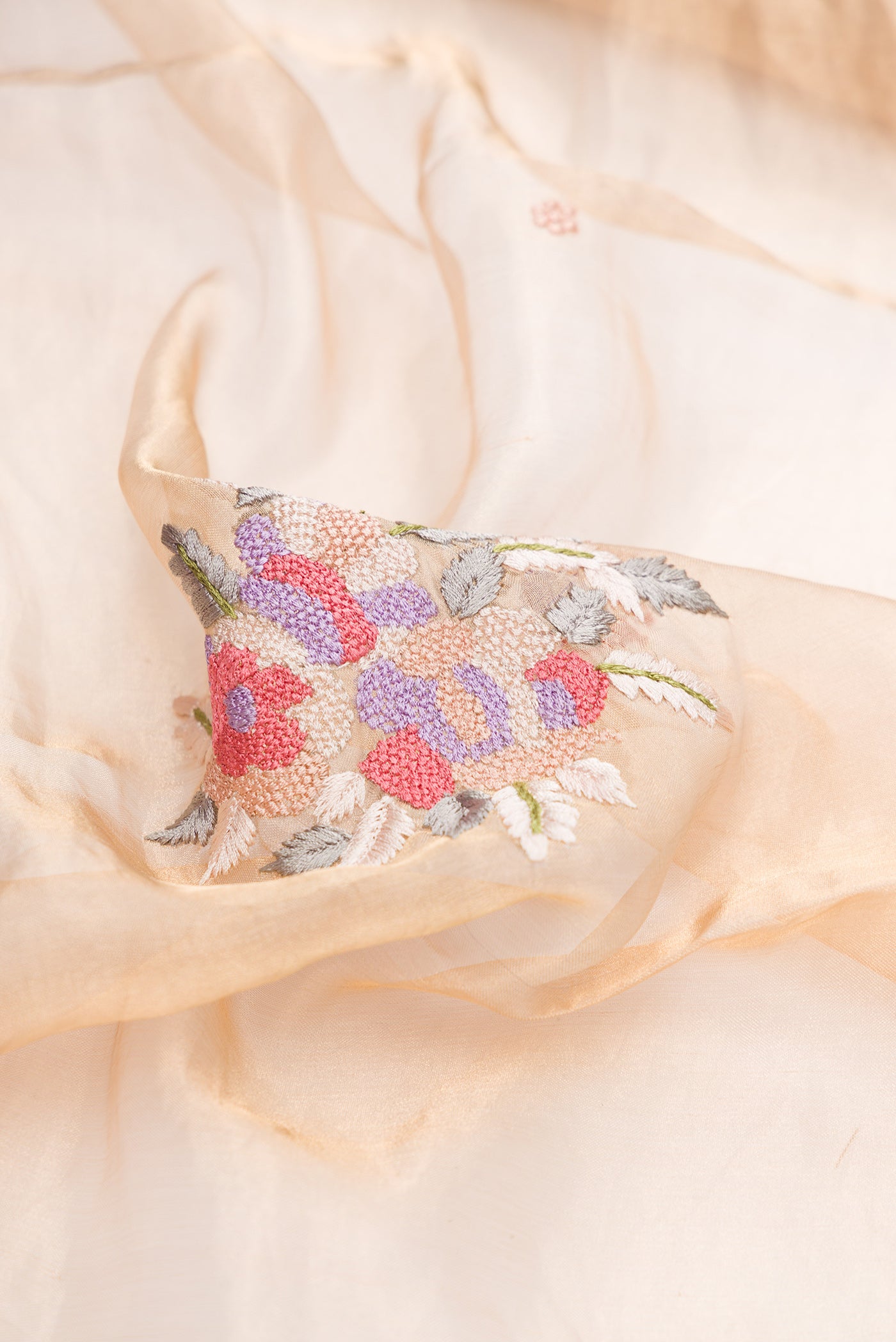 Close up of Gold Dual Tone Organza Silk Saree with Embroidery on the body and Embroidery Border.  displaying folds