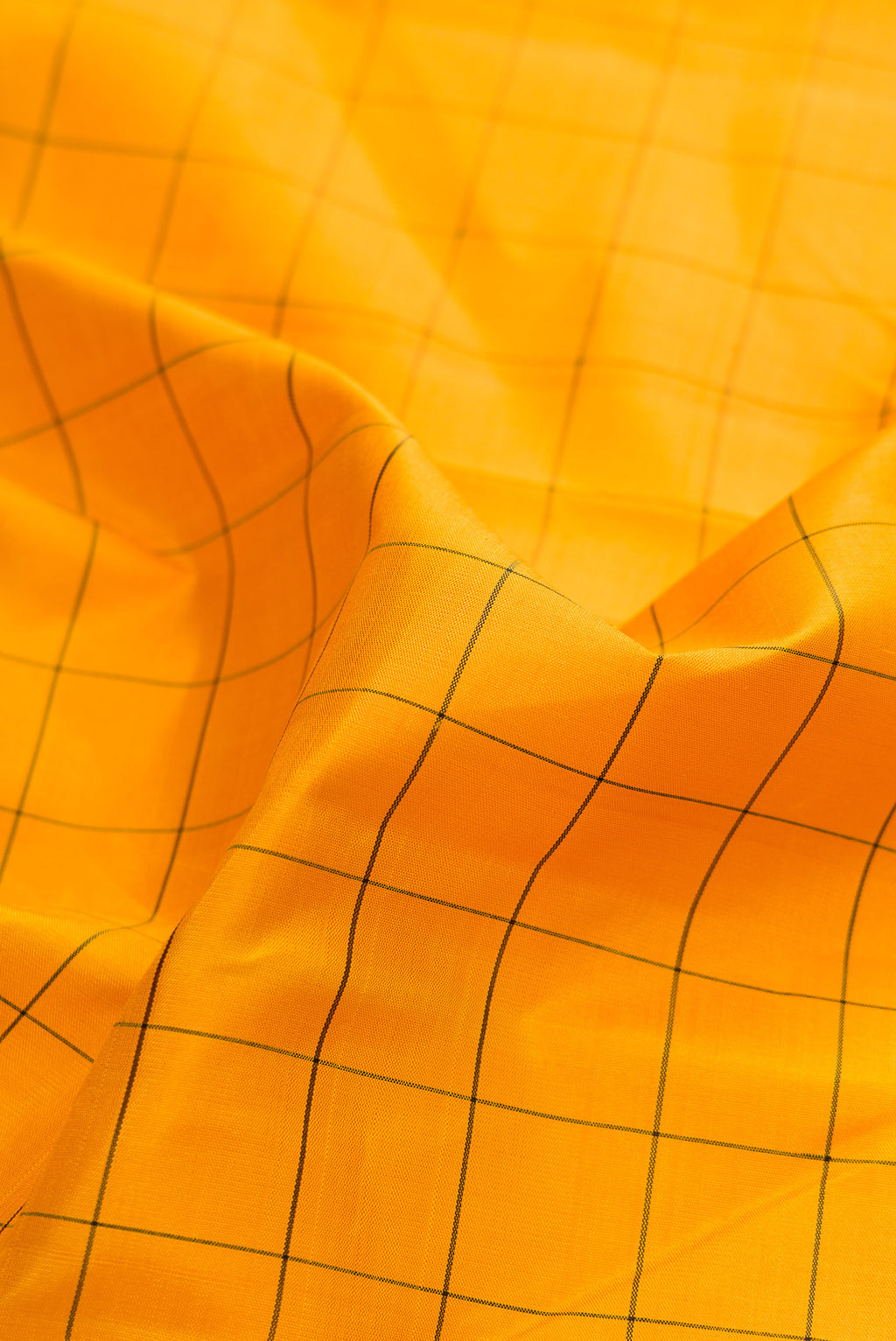 Close up of Mustard Dual Tone Kanchipuram Silk Saree with Checked design on the body and Thread Border.  displaying folds