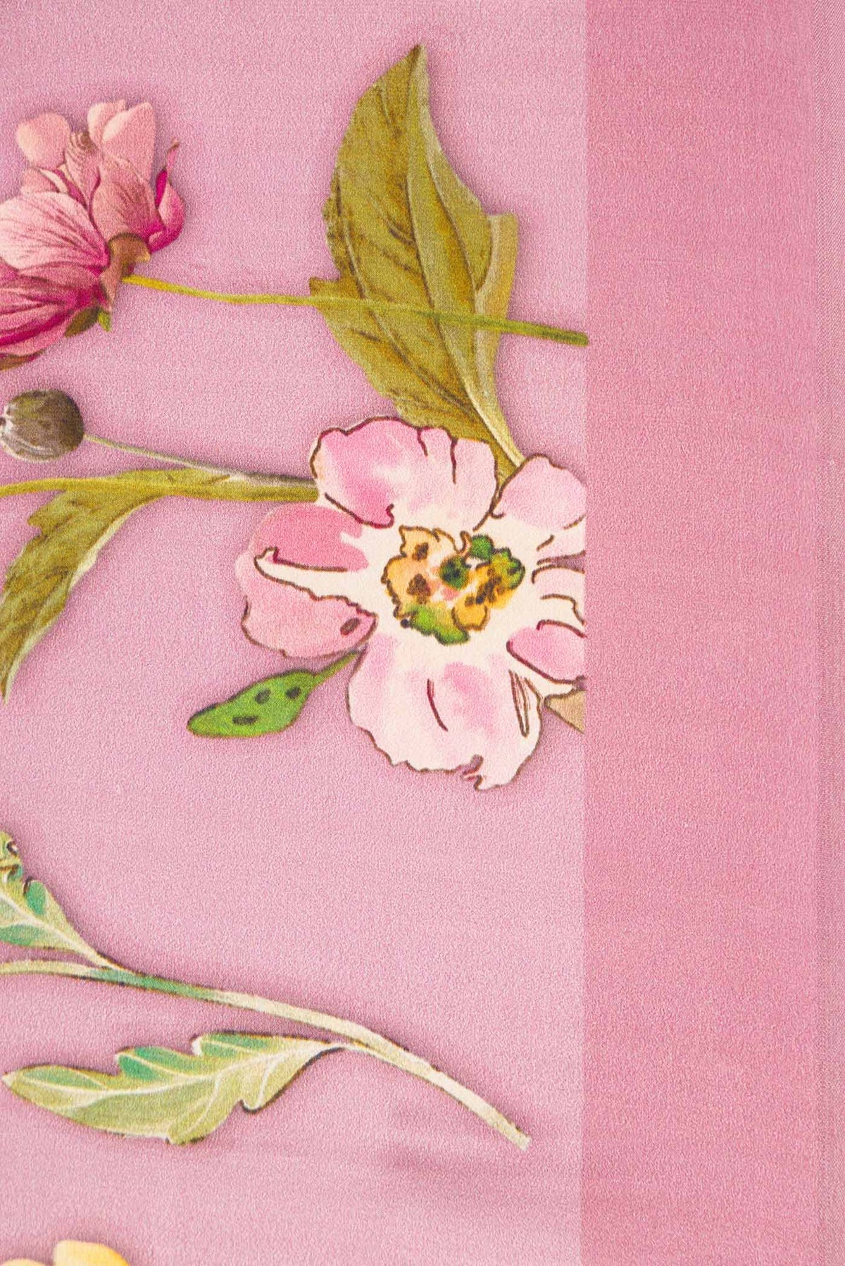 Border image of Pink Dual Tone Mysore Georgette SareePrinted design on the body and Plain Border