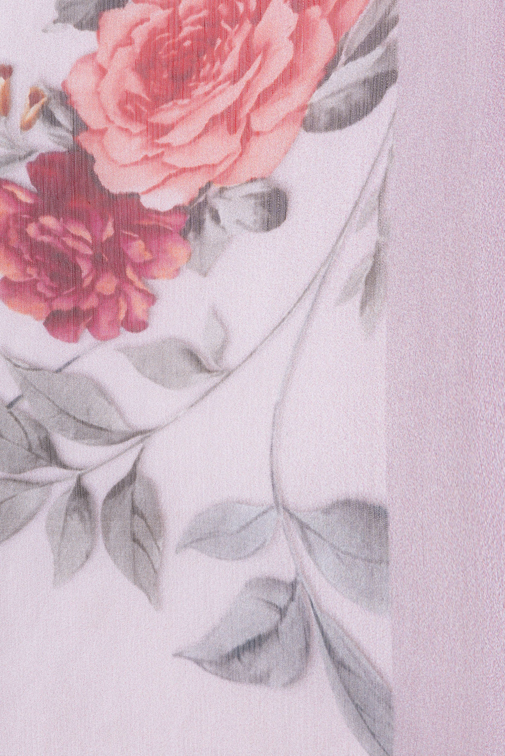 Border image of Rose pink Dual Tone Chiffon Saree with Printed design on the body and Plain Border. 