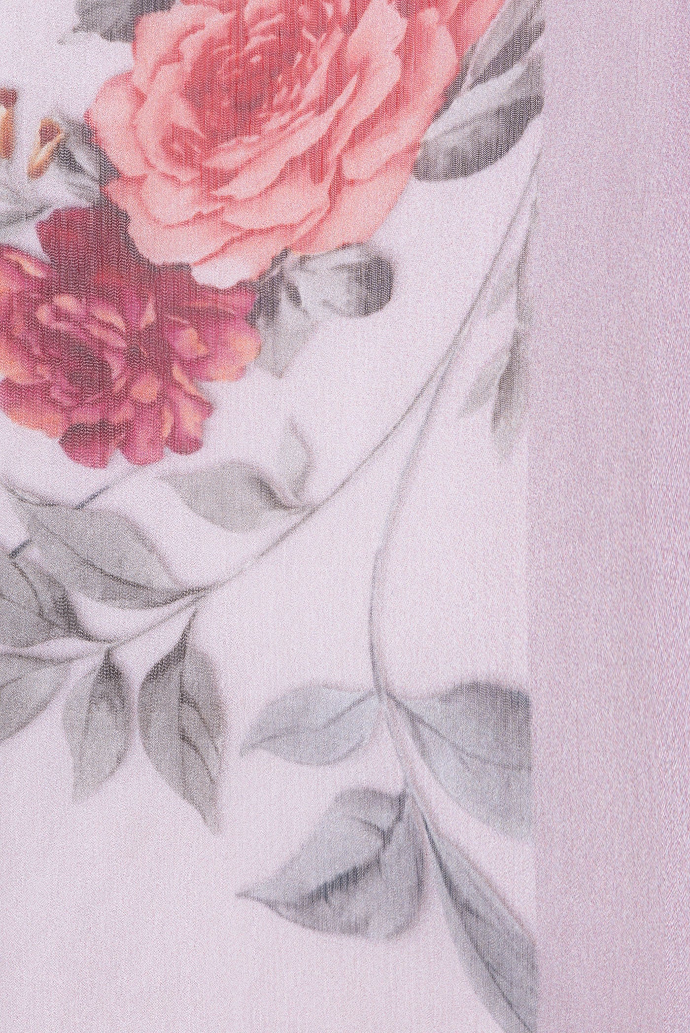 Border image of Rose pink Dual Tone Chiffon Saree with Printed design on the body and Plain Border. 