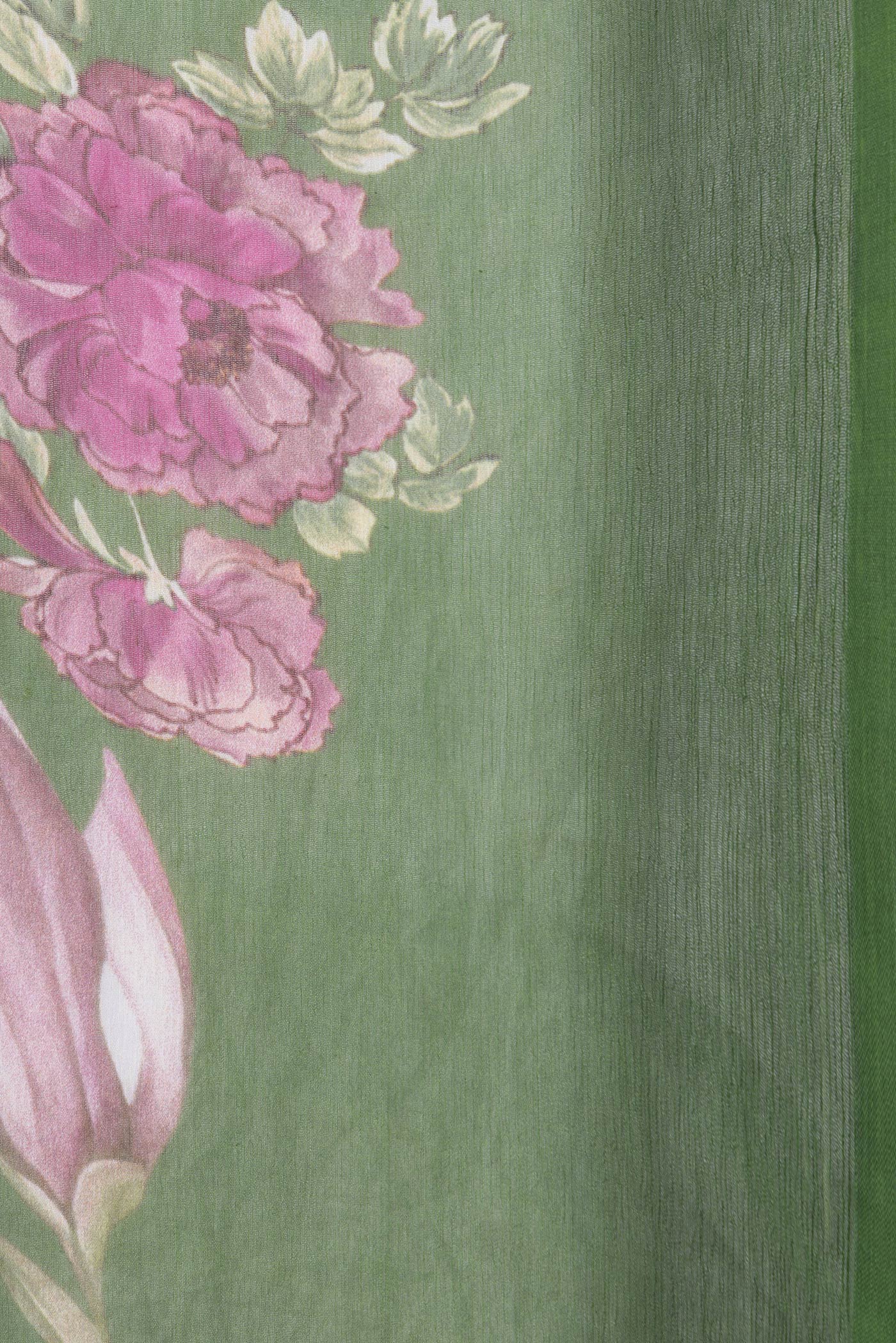 Border image of Green Dual Tone Chiffon Saree with Printed design on the body and Without Border. 