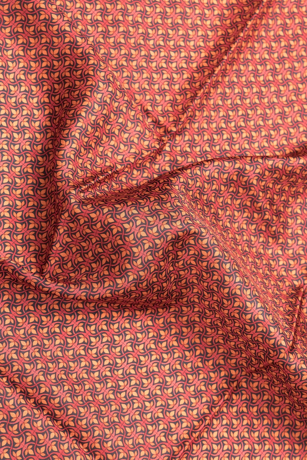 Close up of Red Dual Tone Printed Silk Saree with Printed design on the body and Printed Border.  displaying folds