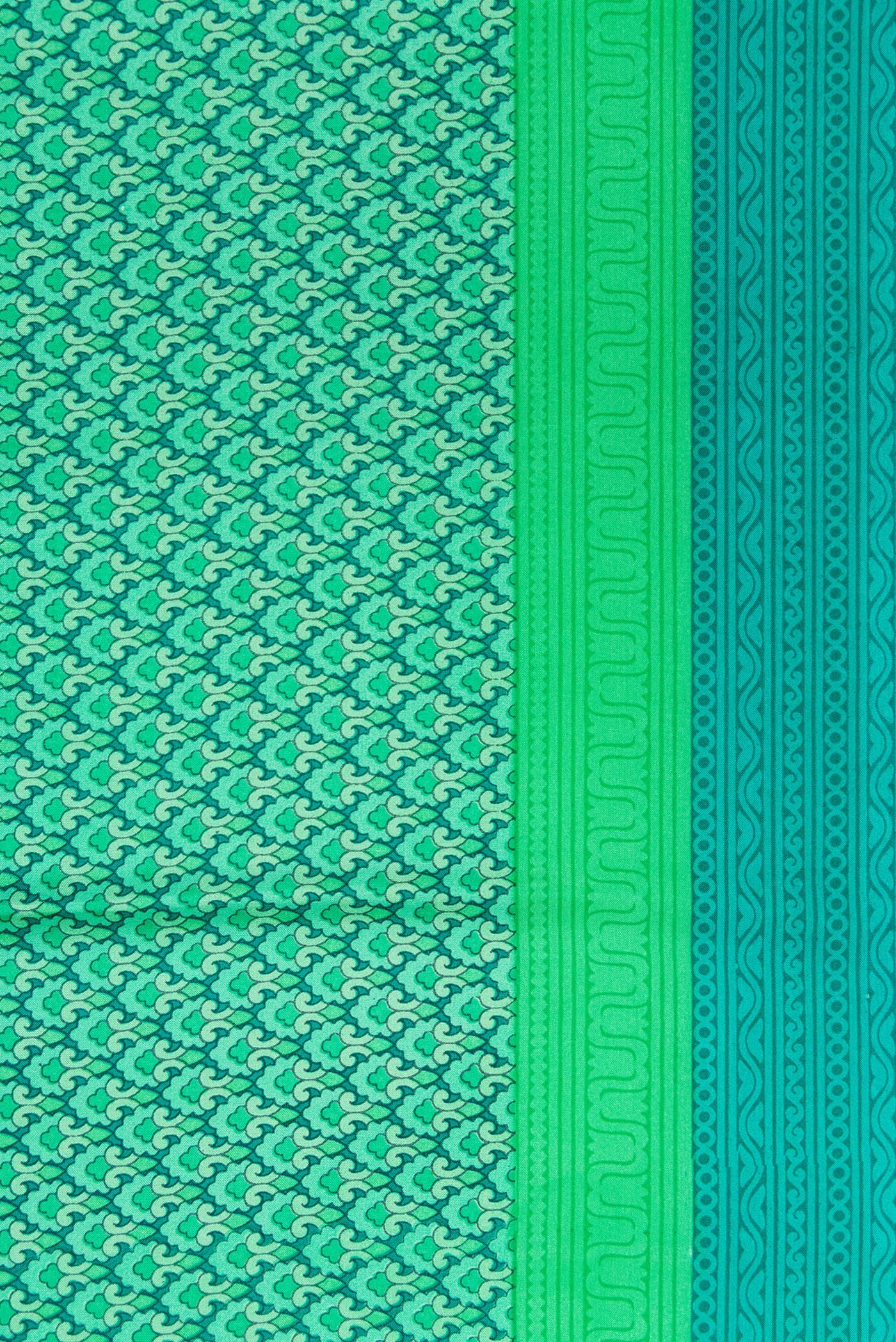 Border image of Sea Green Dual Tone Printed Silk Saree with Printed design on the body and Printed Border. 