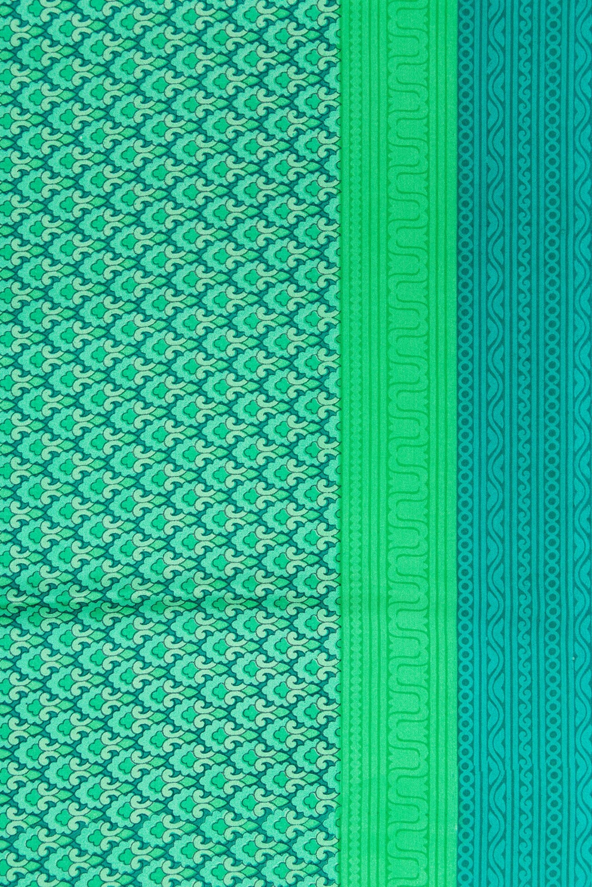 Border image of Sea Green Dual Tone Printed Silk Saree with Printed design on the body and Printed Border. 