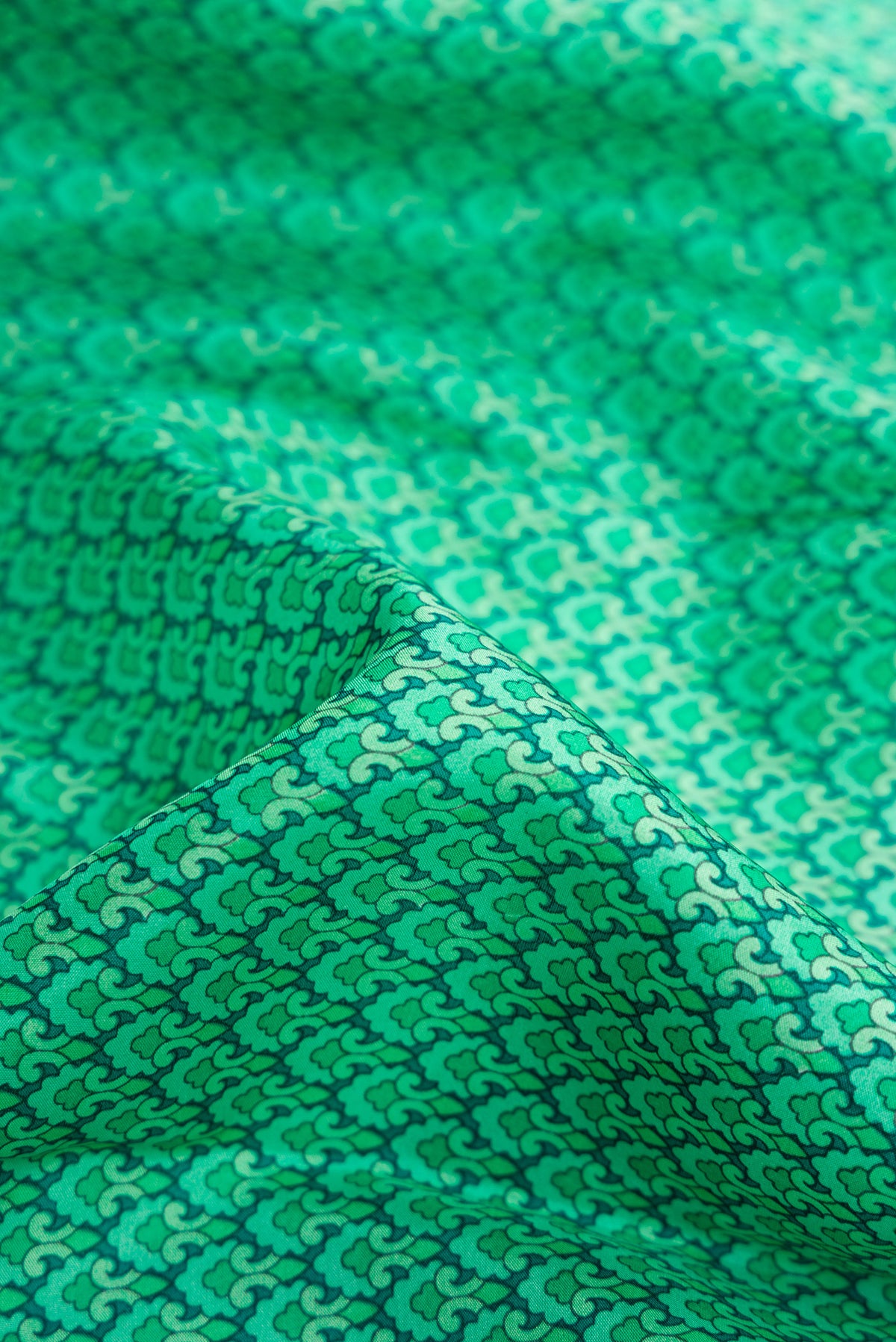 Close up of Sea Green Dual Tone Printed Silk Saree with Printed design on the body and Printed Border.  displaying folds