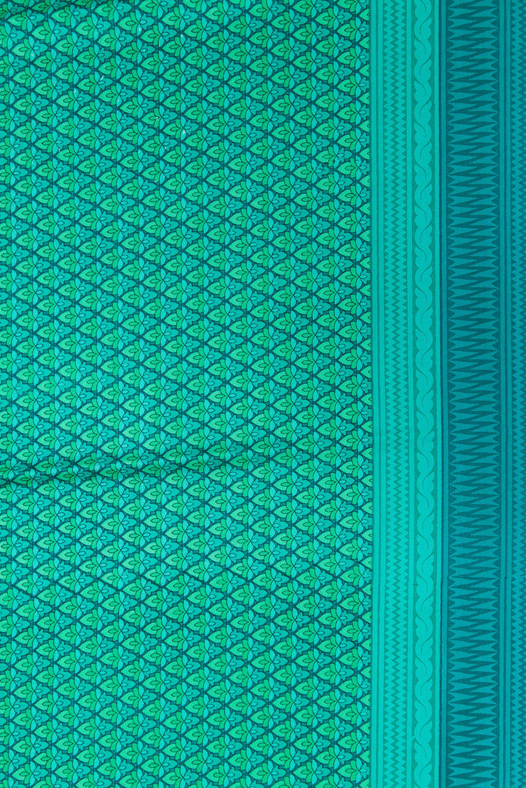 Border image of Green Dual Tone Printed Silk Saree with Printed design on the body and Printed Border. 