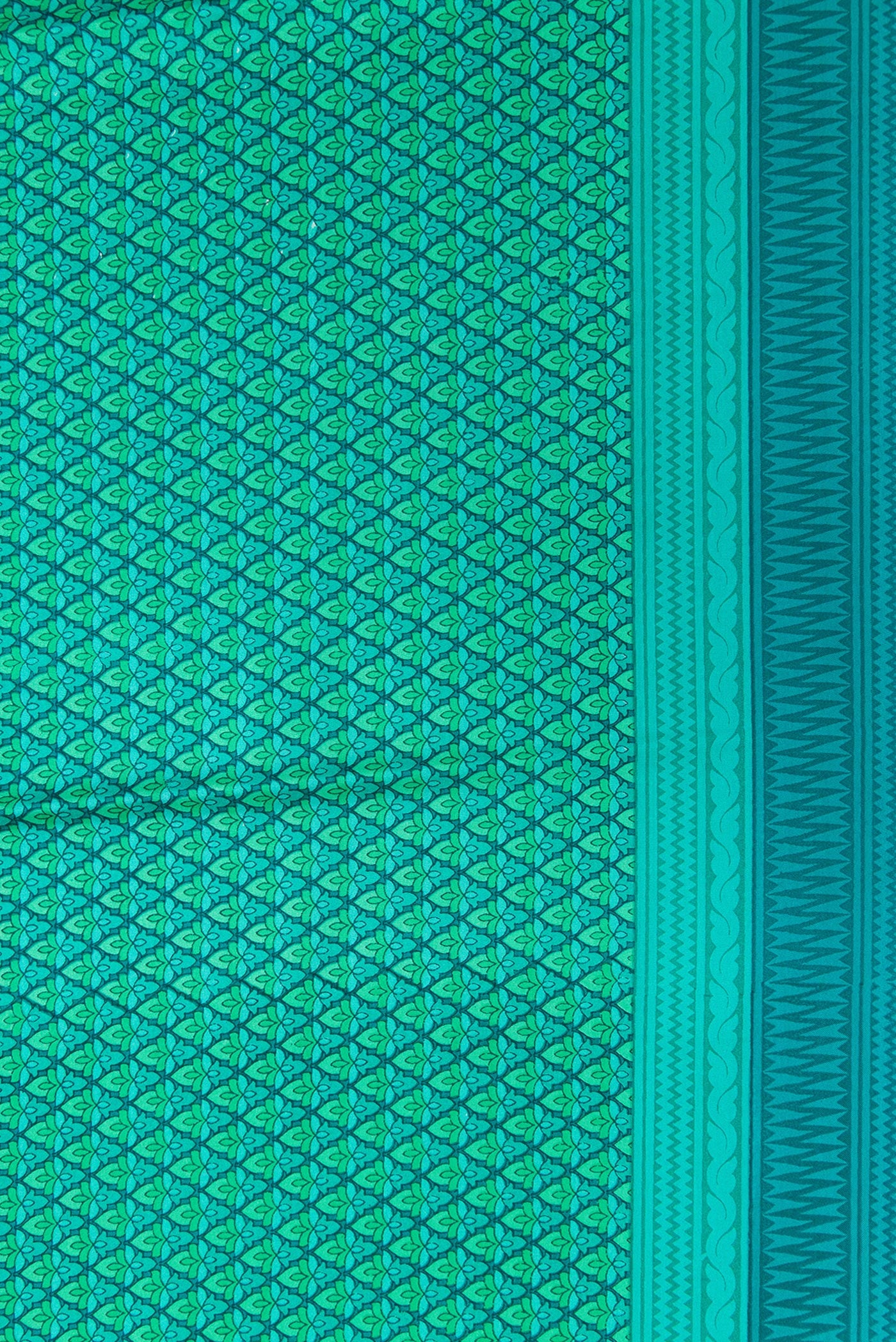 Border image of Green Dual Tone Printed Silk Saree with Printed design on the body and Printed Border. 