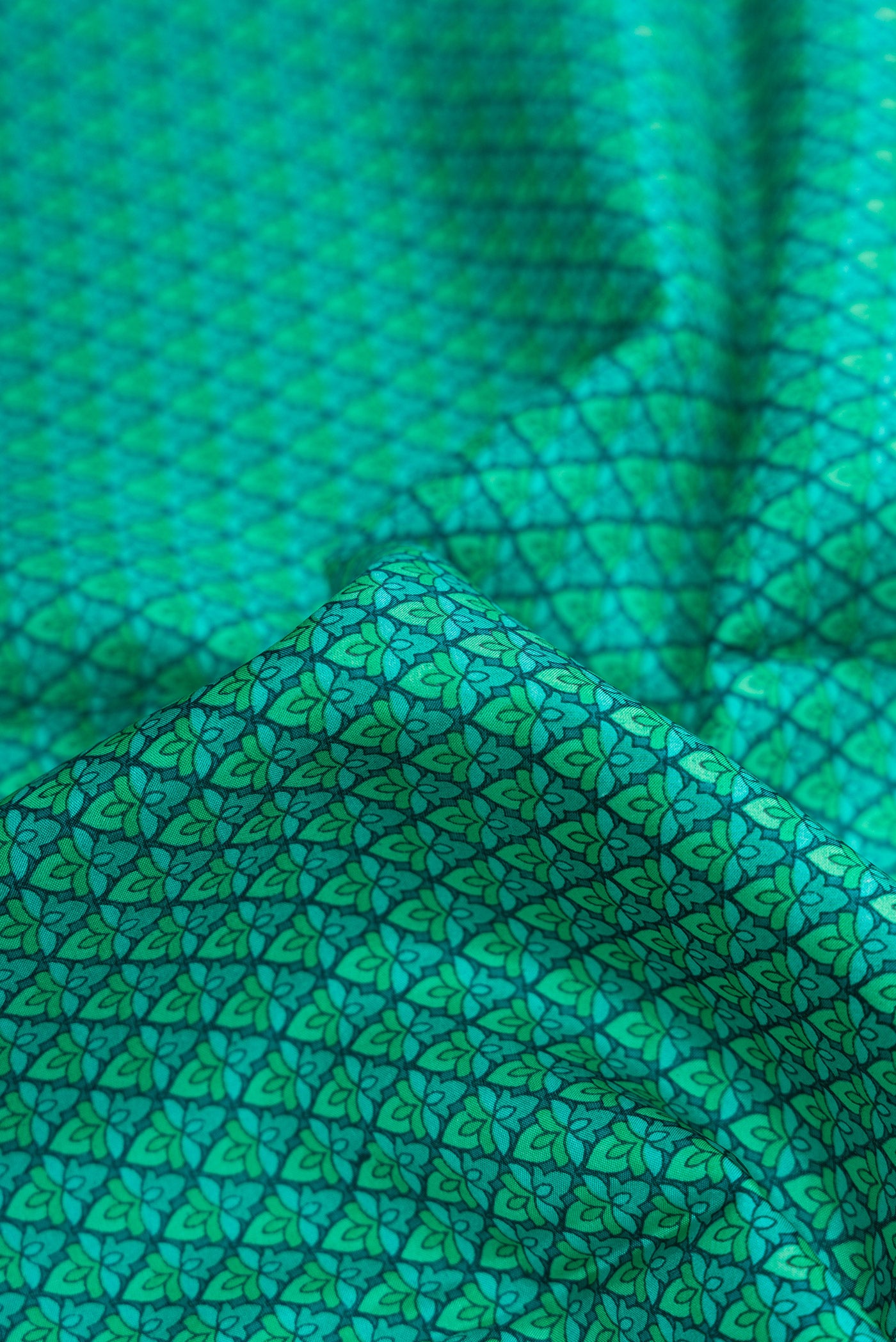 Close up of Green Dual Tone Printed Silk Saree with Printed design on the body and Printed Border.  displaying folds