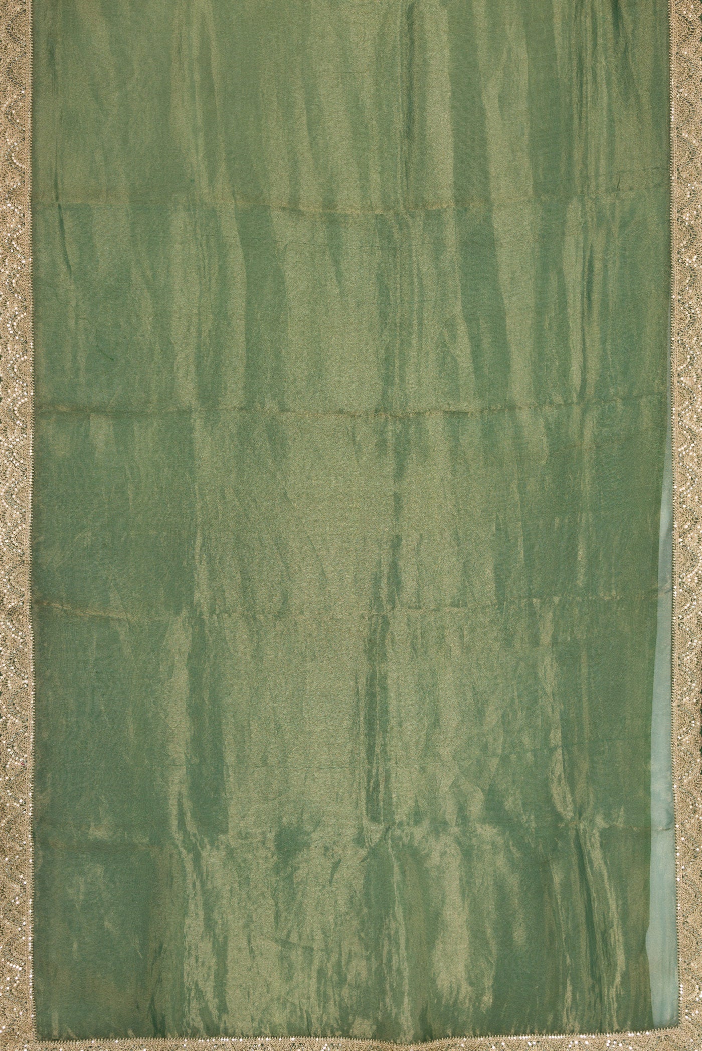 Flat view of Green Dual Tone Organza Silk Saree with Plain Body and Embroidery Border. 
