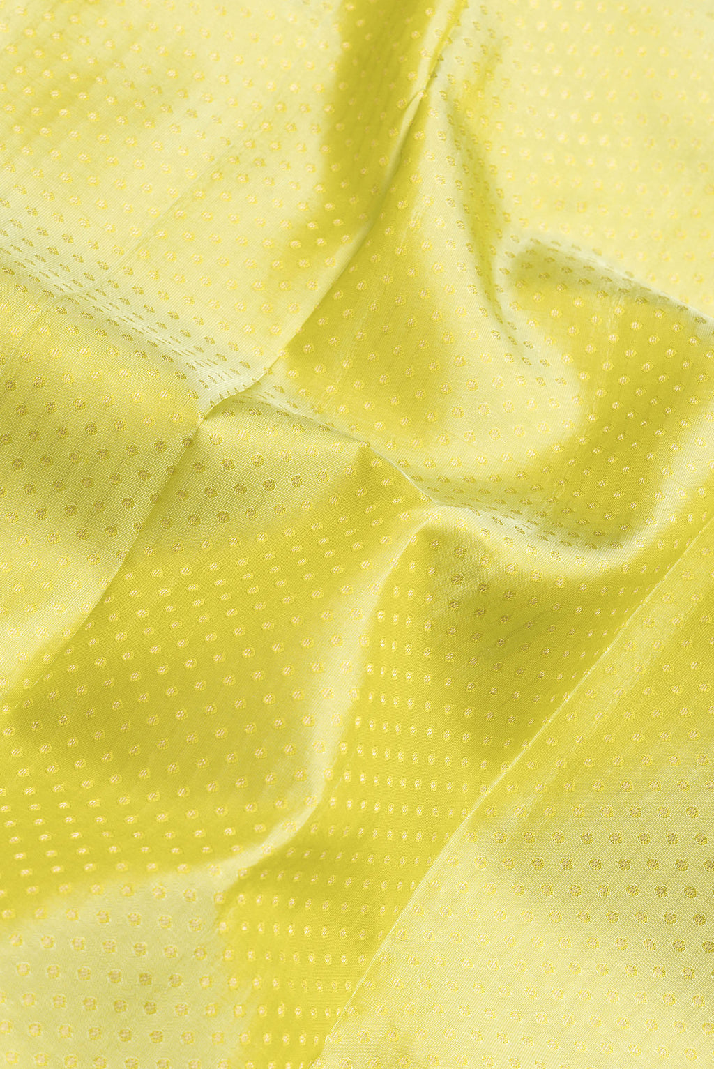 Close up of Pista Green Dual Tone Kanchipuram Silk Saree with Zari Butta on the body and Zari Border.  displaying folds