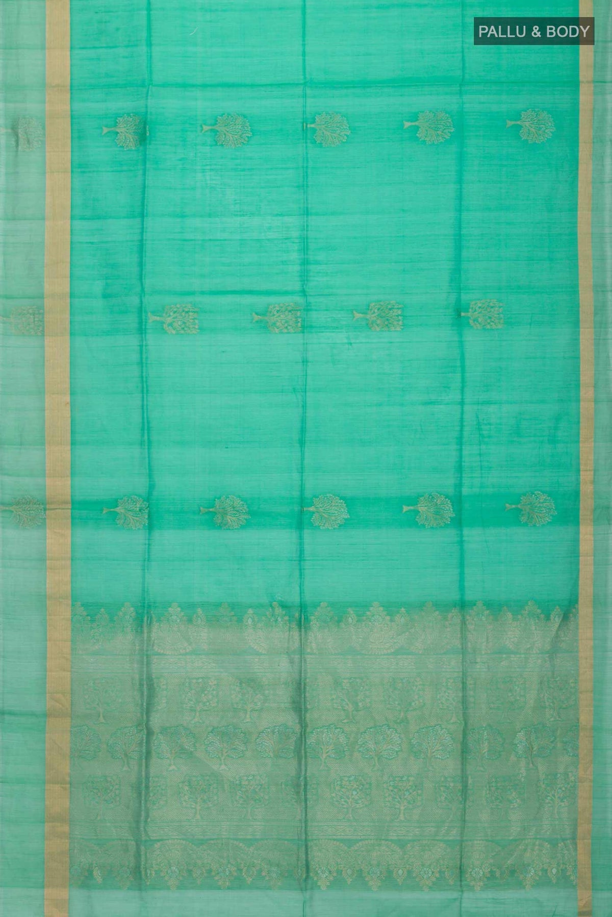 pallu body