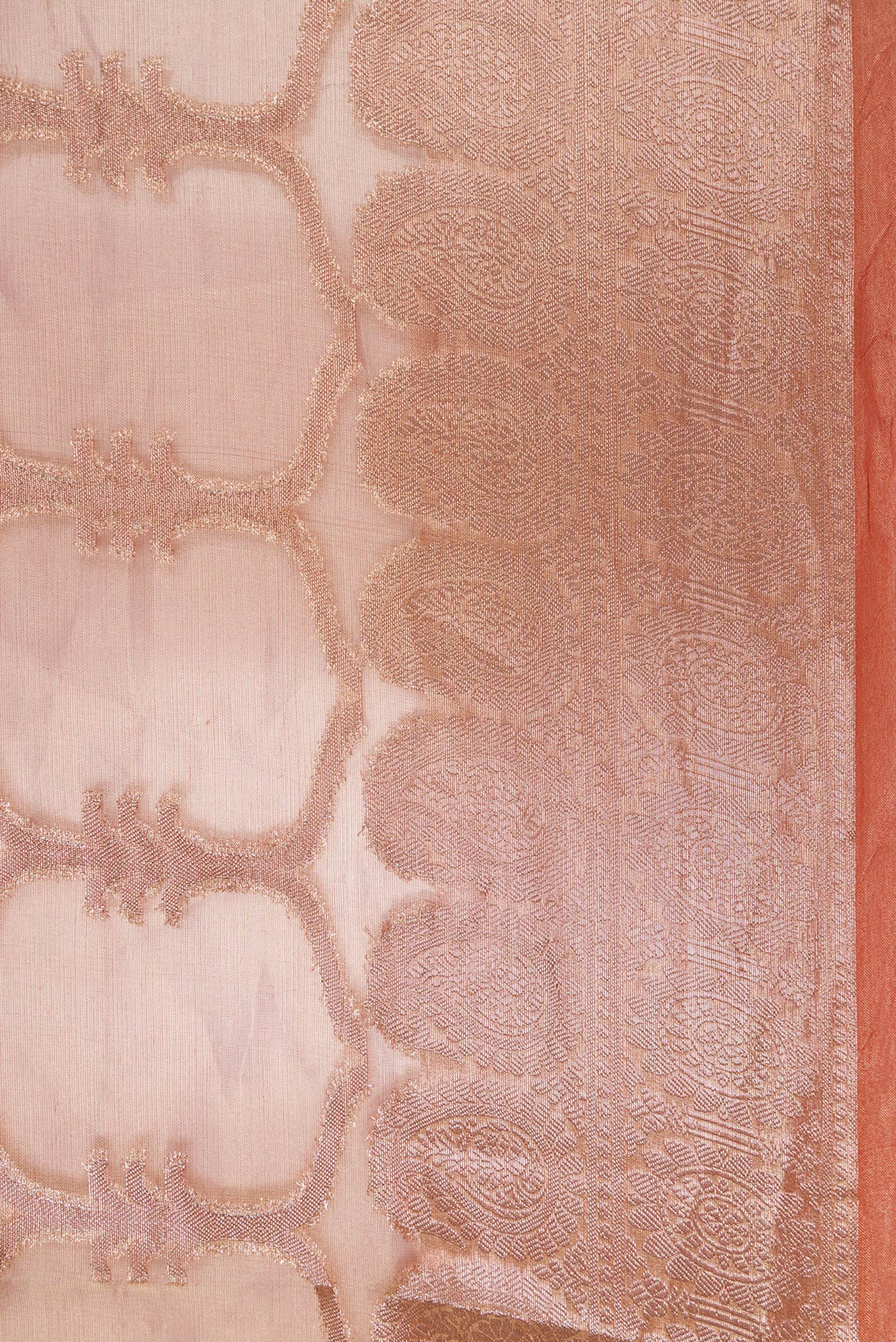 Border image of Coral Dual Tone Organza Silk Saree with Zari Brocade on the body and Zari Border. 