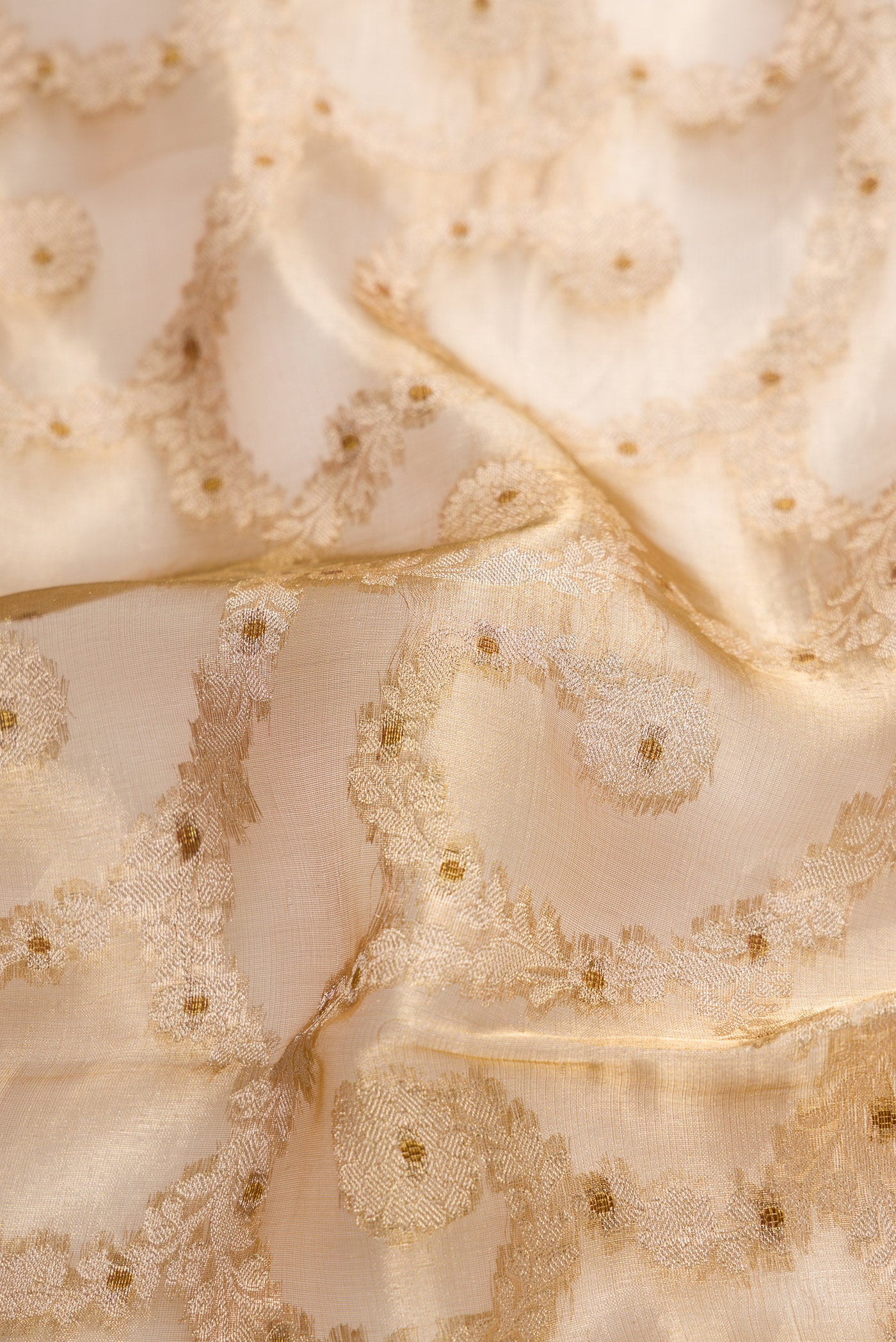 Close up of Mustard Dual Tone Organza Silk Saree with Zari Brocade on the body and Zari Border.  displaying folds