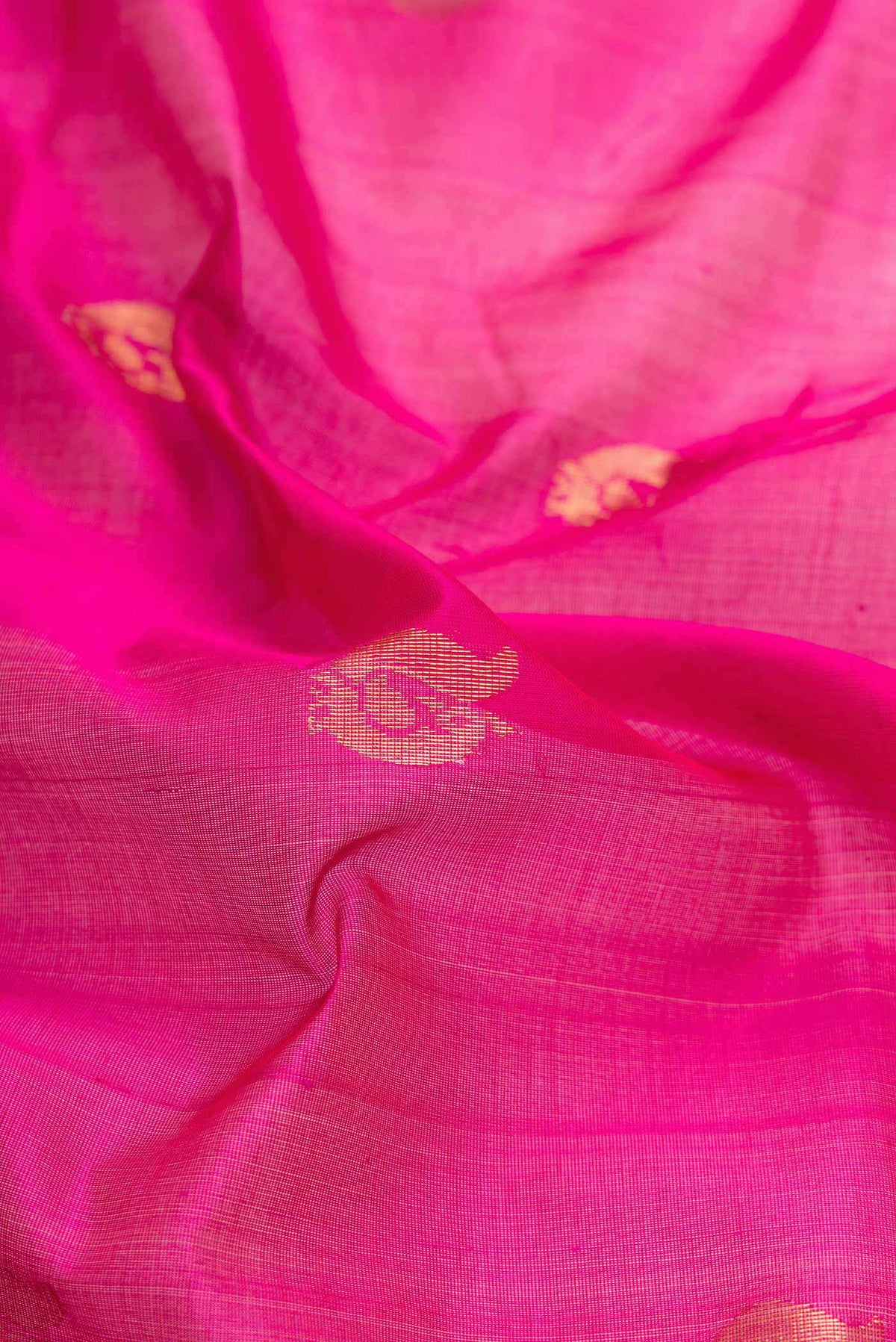 Close up of Dark Pink Dual Tone Silk Cotton Saree with Zari Butta on the body and Zari Border displaying folds