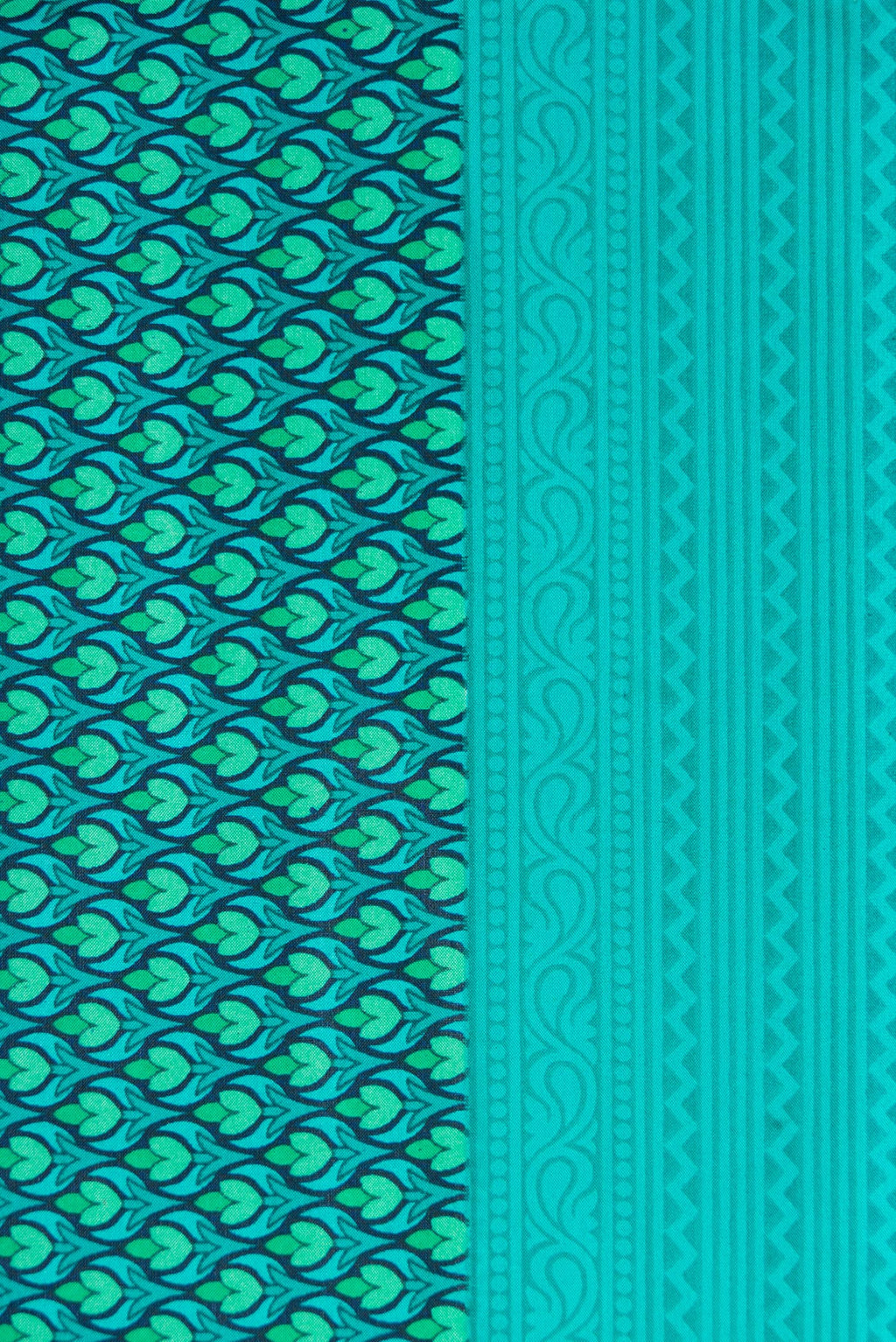 Border image of Sea Green Dual Tone Printed Silk Saree with Printed design on the body and Printed Border. 
