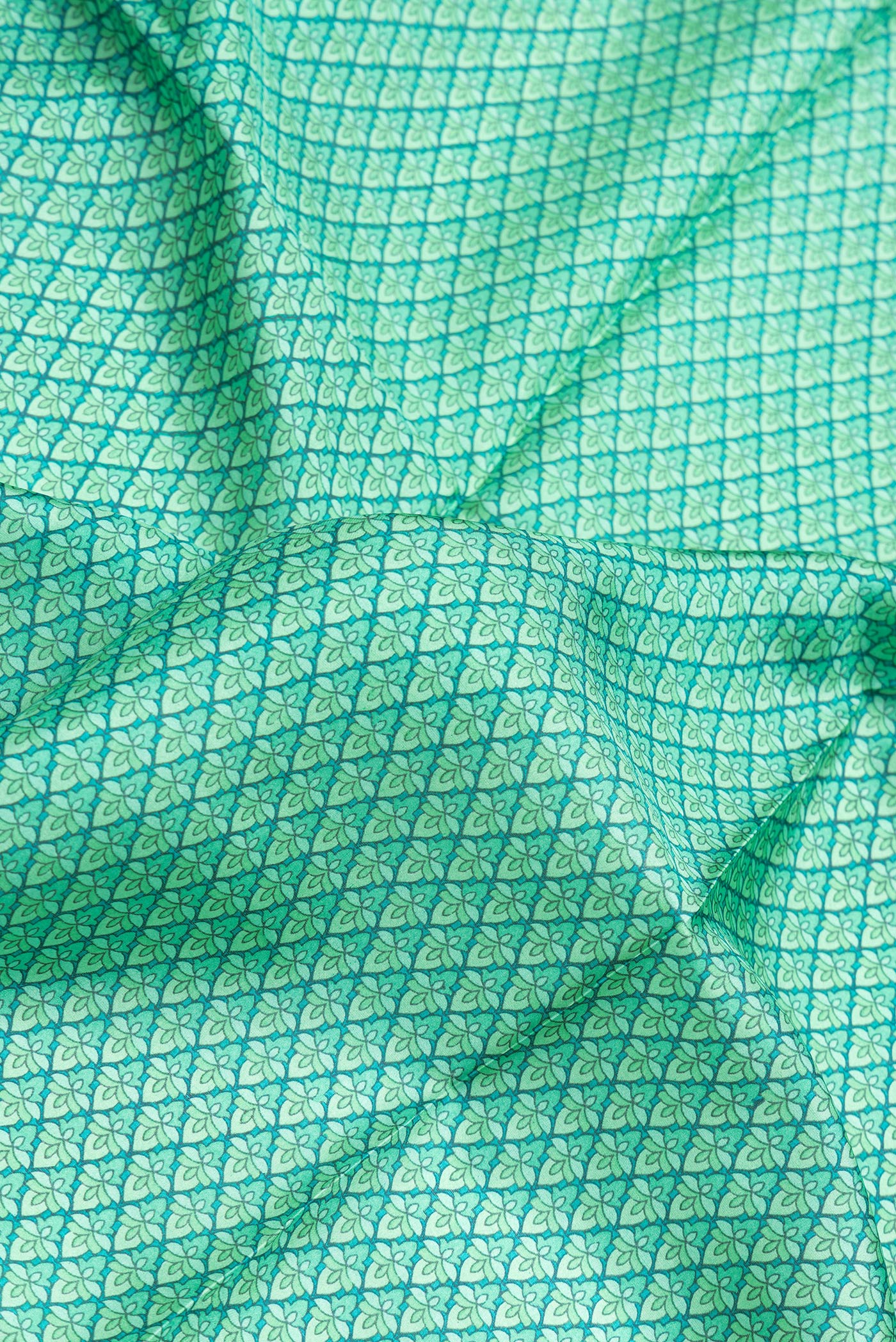 Close up of Sea Green Dual Tone Printed Silk Saree with Printed design on the body and Printed Border.  displaying folds