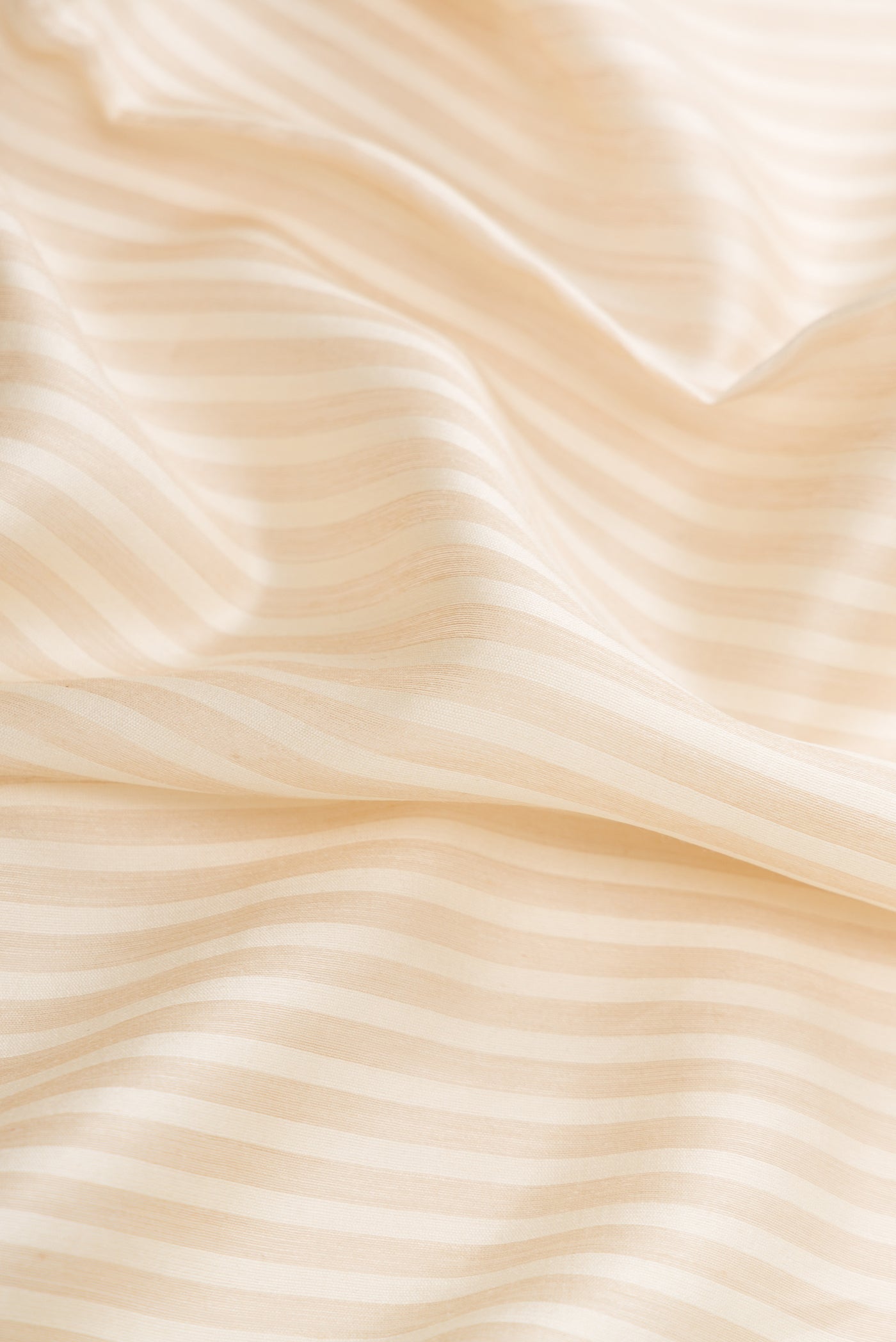 Close up of Beige Dual Tone Tussar Silk Saree with Stripes on the body and Fancy Border.  displaying folds