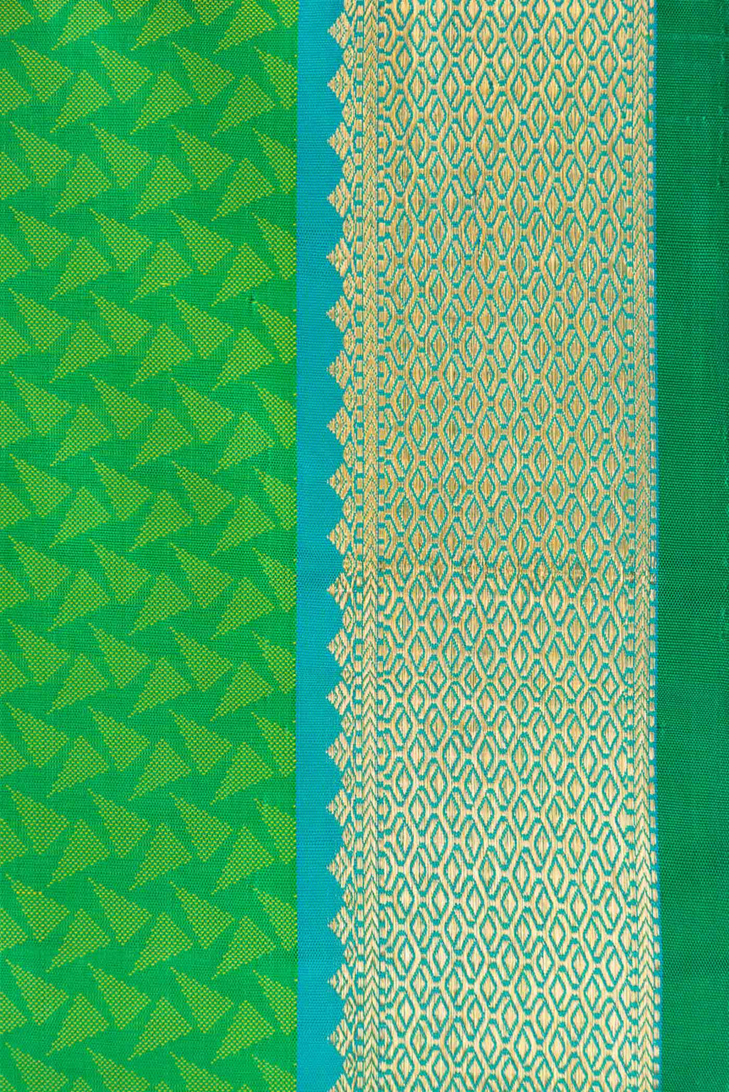 Border image of Green Dual Tone Kanjivaram Silk Saree with Jacquard With Zari Butta on the body and Zari Border. 