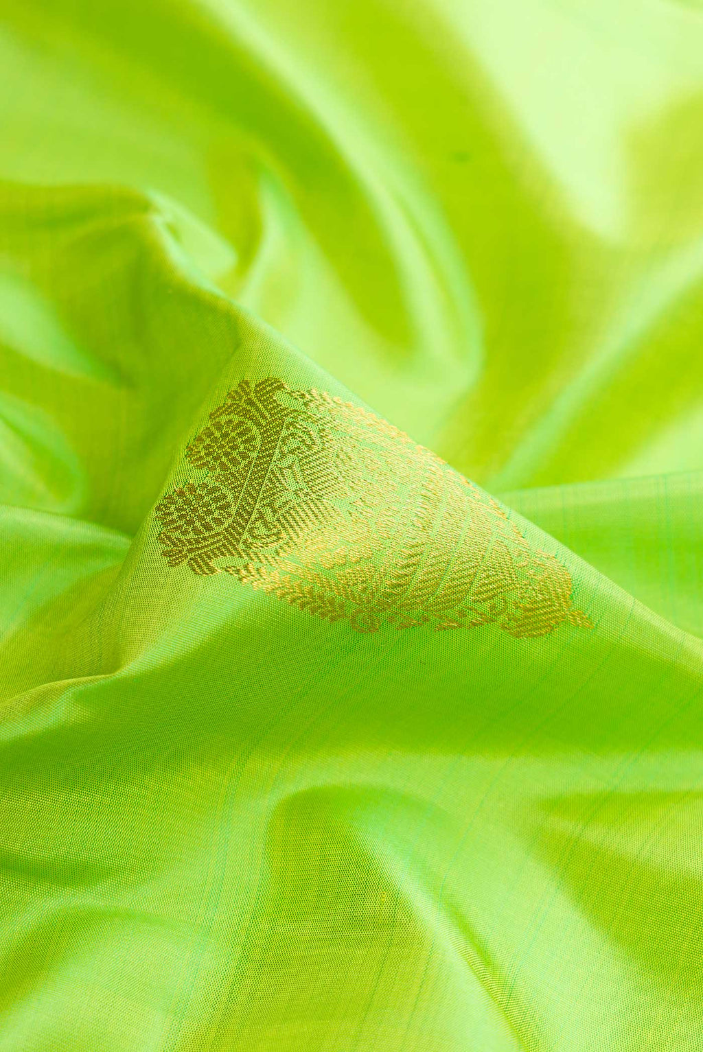 Close up of Parrot Green Dual Tone Kanchipuram Silk Saree with Zari Butta on the body and Zari Border.  displaying folds