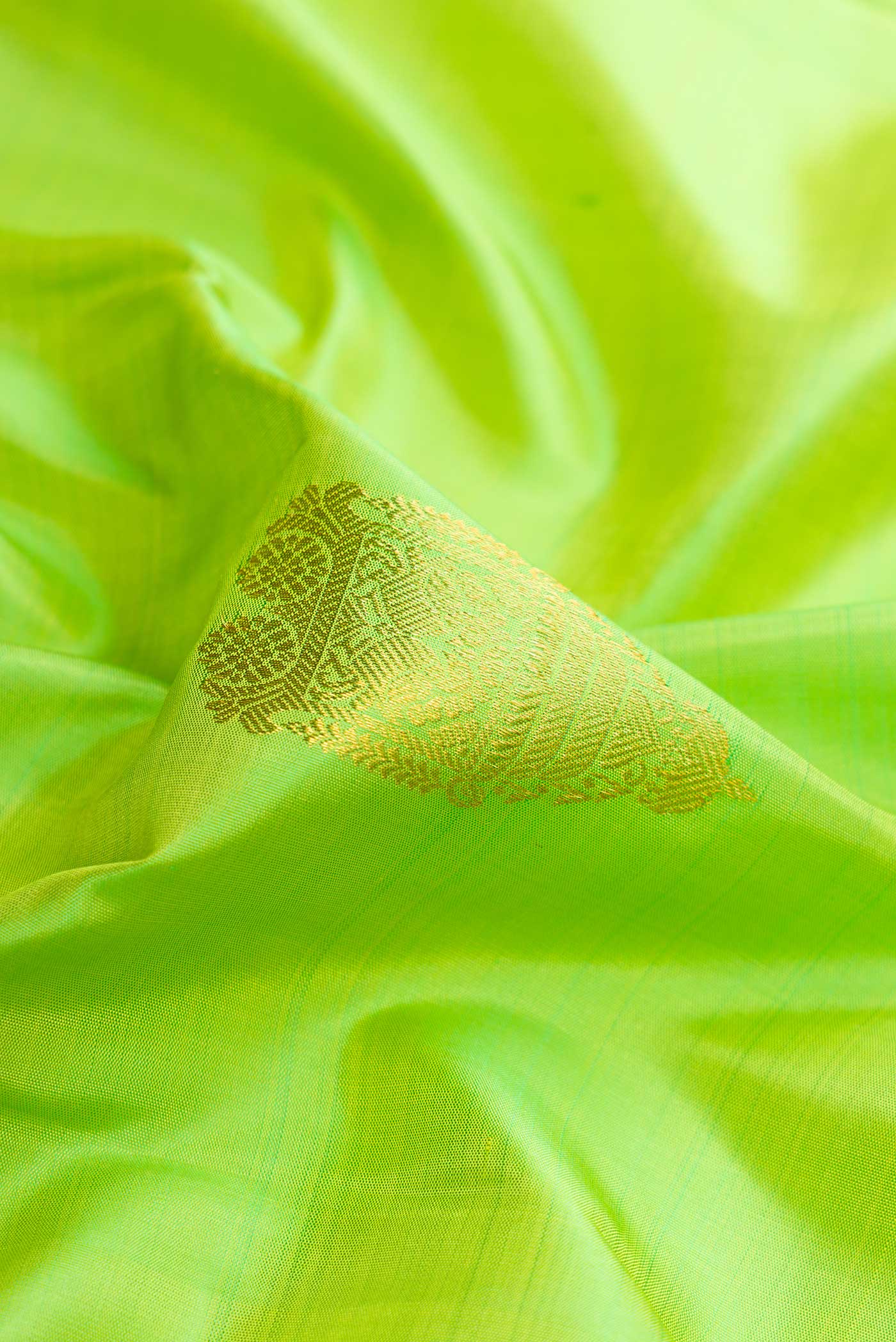 Close up of Parrot Green Dual Tone Kanchipuram Silk Saree with Zari Butta on the body and Zari Border.  displaying folds