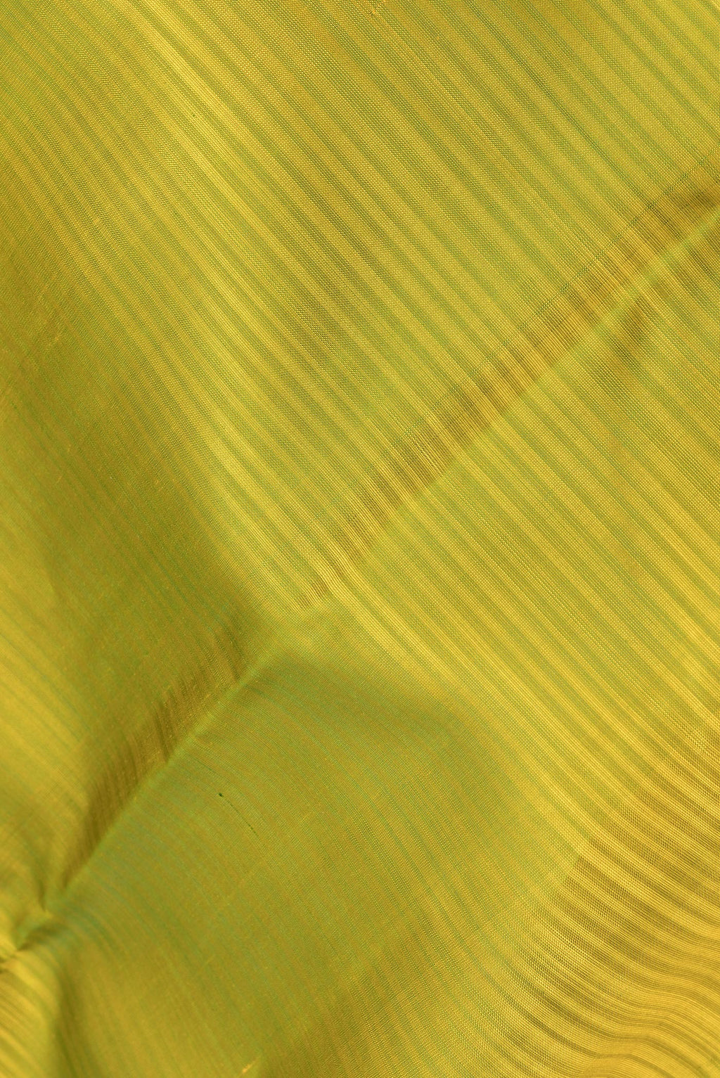 Close up of Pure Silk Parrot Green Kanchipuram Saree with Stripes on the body and Plain Border.  displaying folds