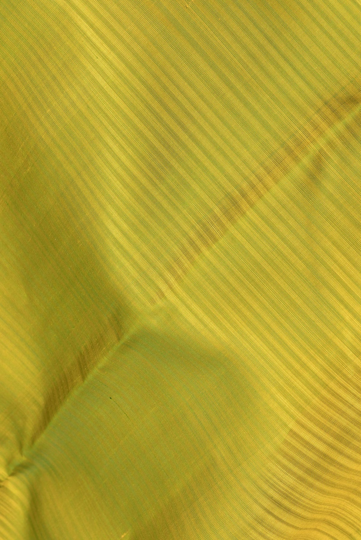 Close up of Pure Silk Parrot Green Kanchipuram Saree with Stripes on the body and Plain Border.  displaying folds