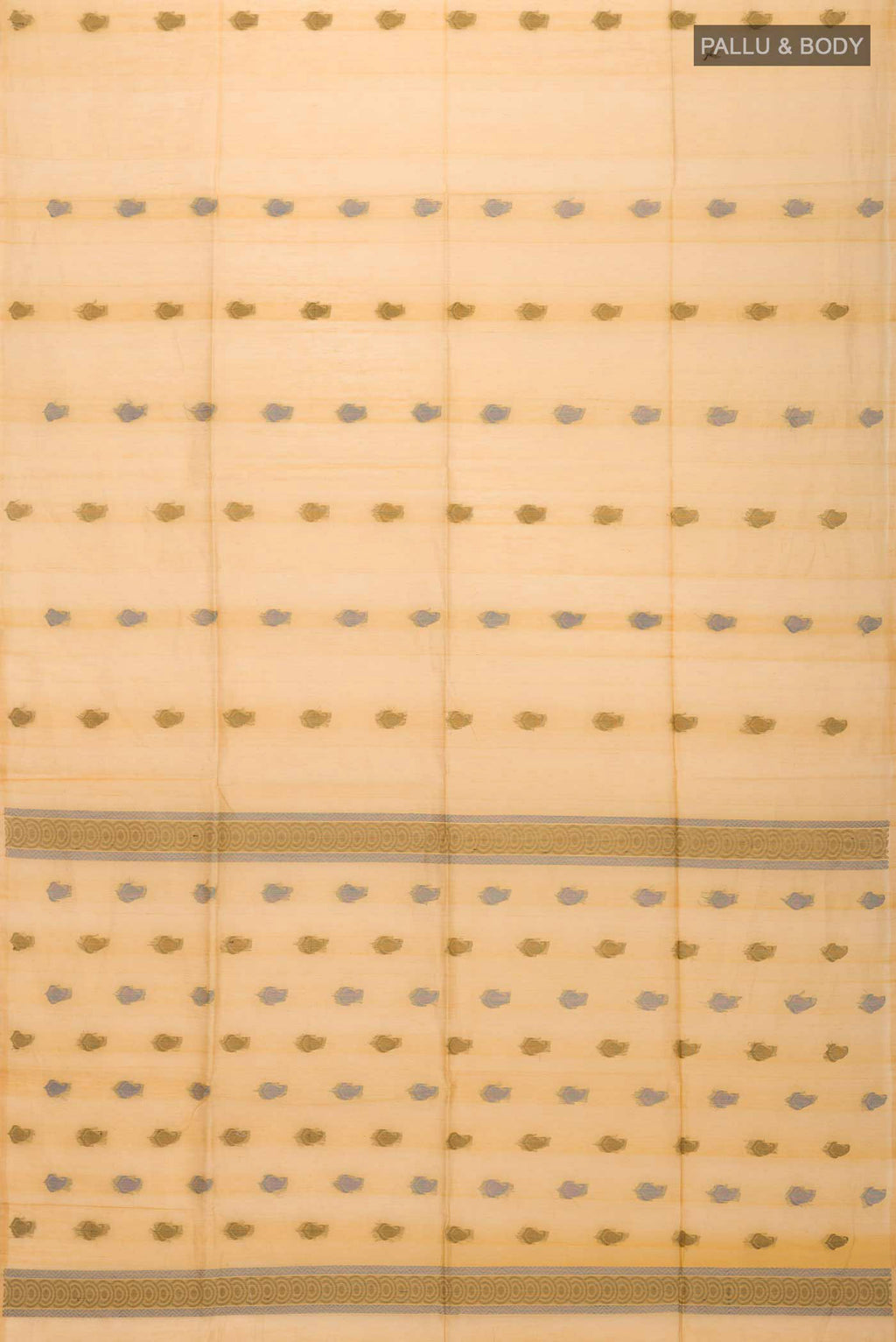 pallu body