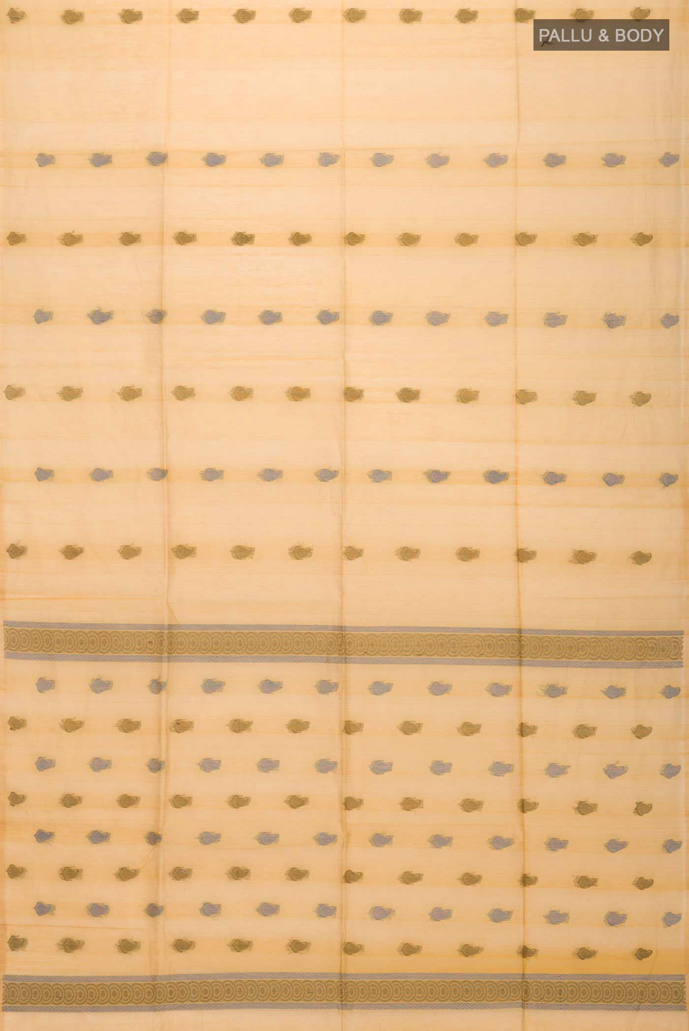 pallu body
