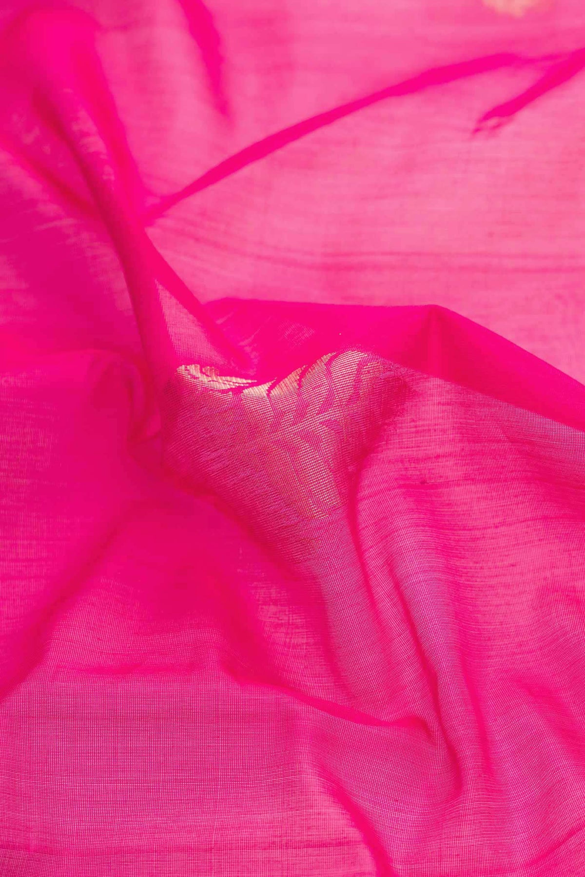 Close up of Pink Dual Tone Silk Cotton Saree with Zari Butta on the body and Zari Border displaying folds