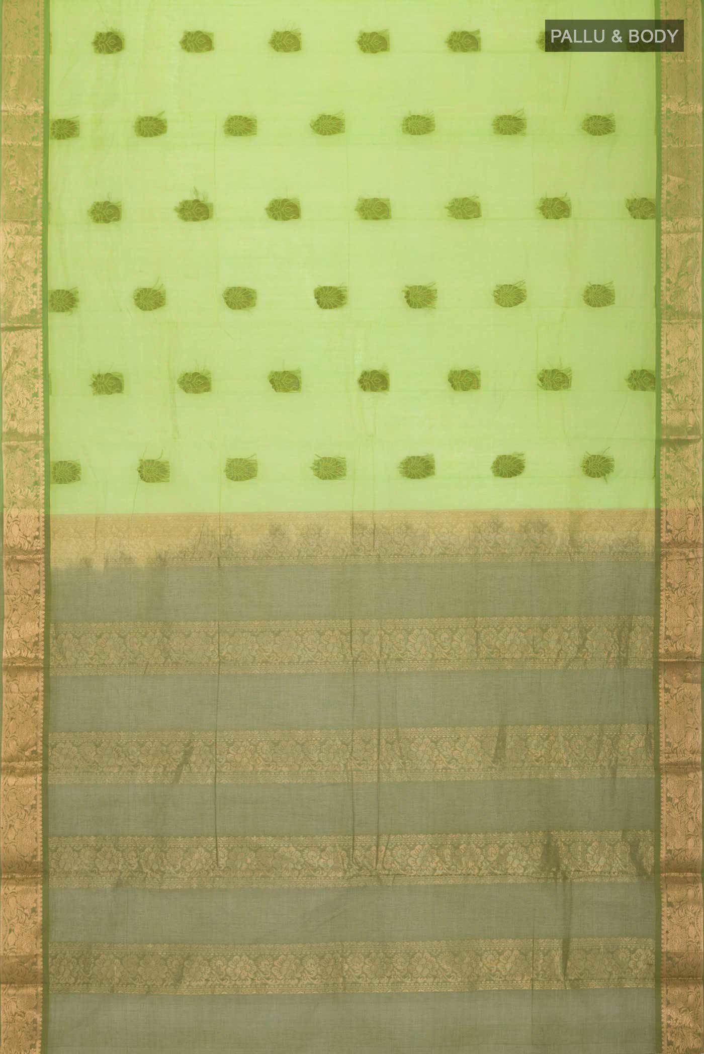 pallu body