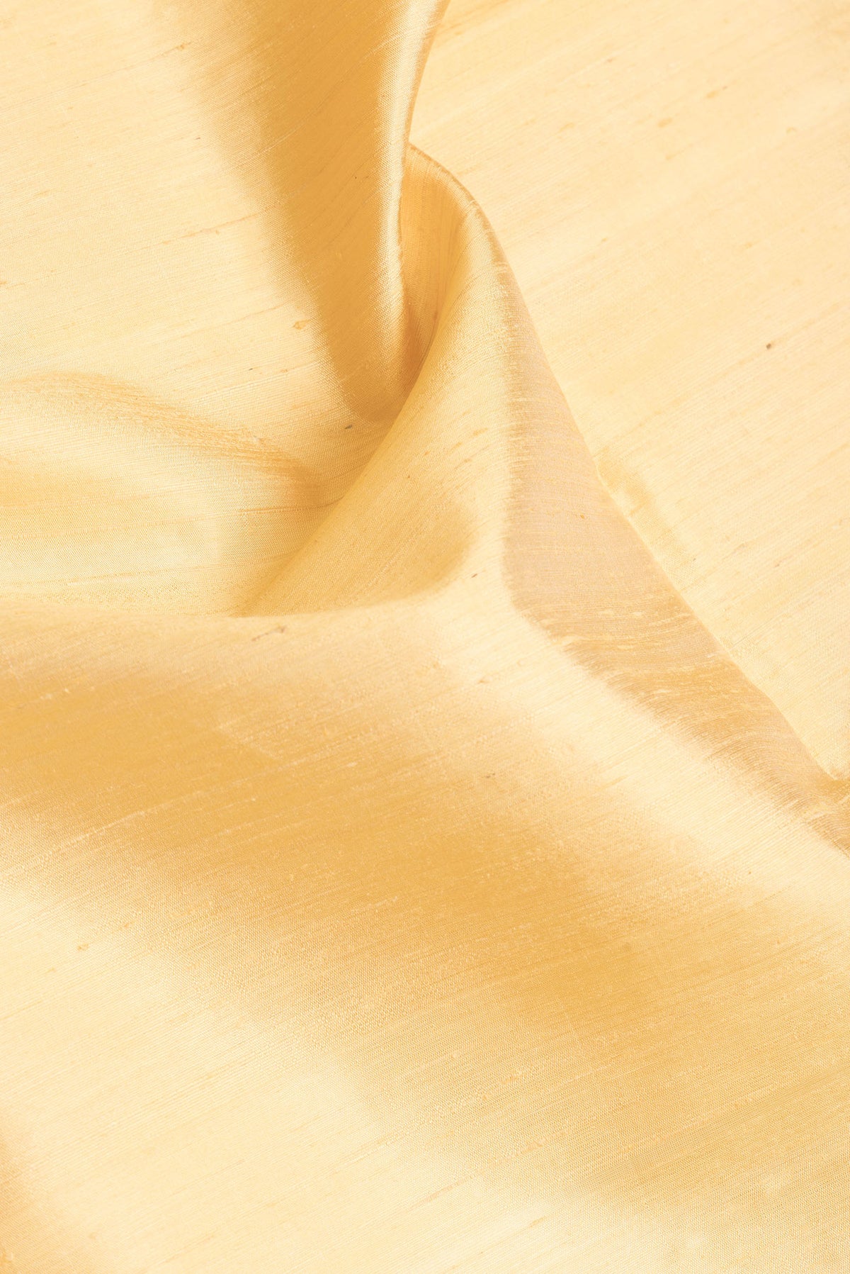 Close up of Sandal Dual Tone Raw Silk Saree with Plain Body and Ikat Border.  displaying folds