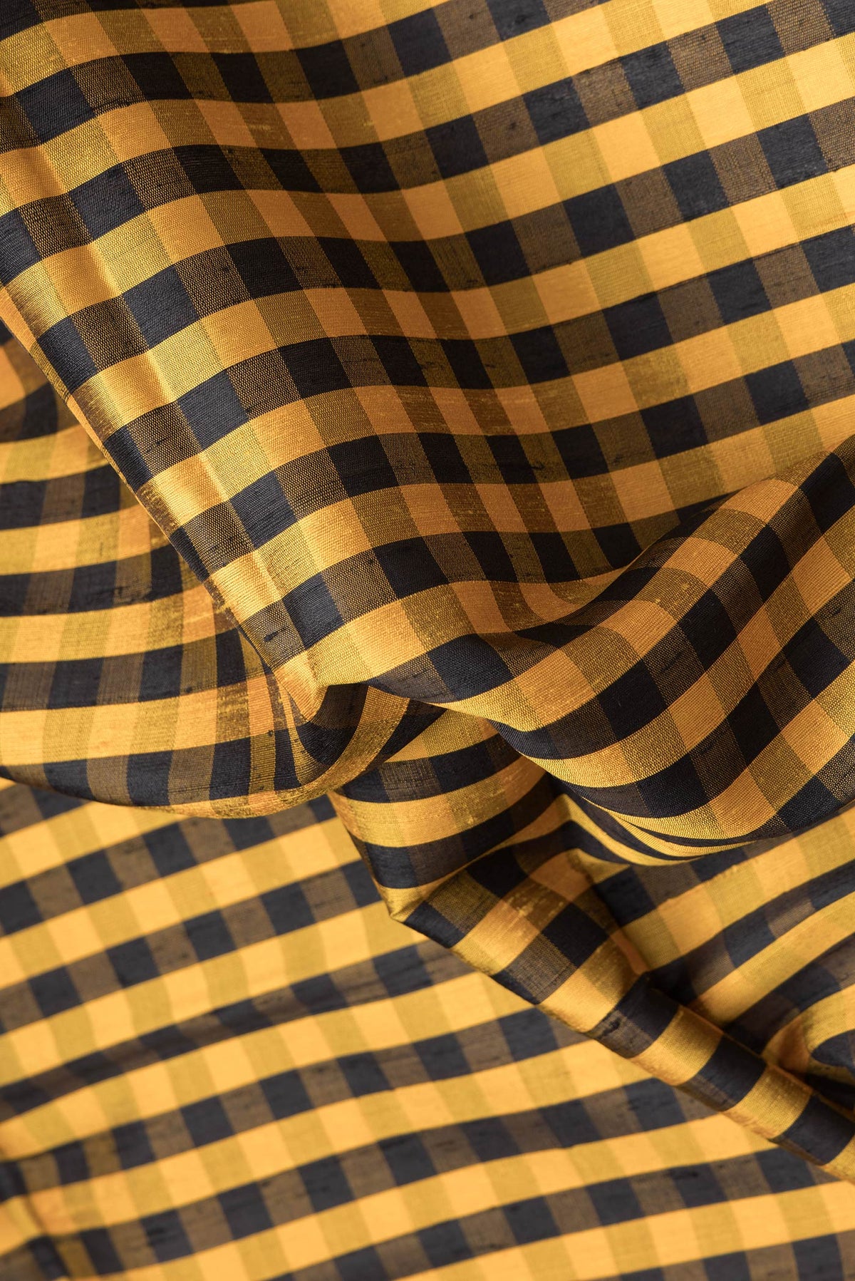 Close up of Black and Mustard Color Raw Silk Saree with Checked design on the body and Thin Zari Line.  displaying folds