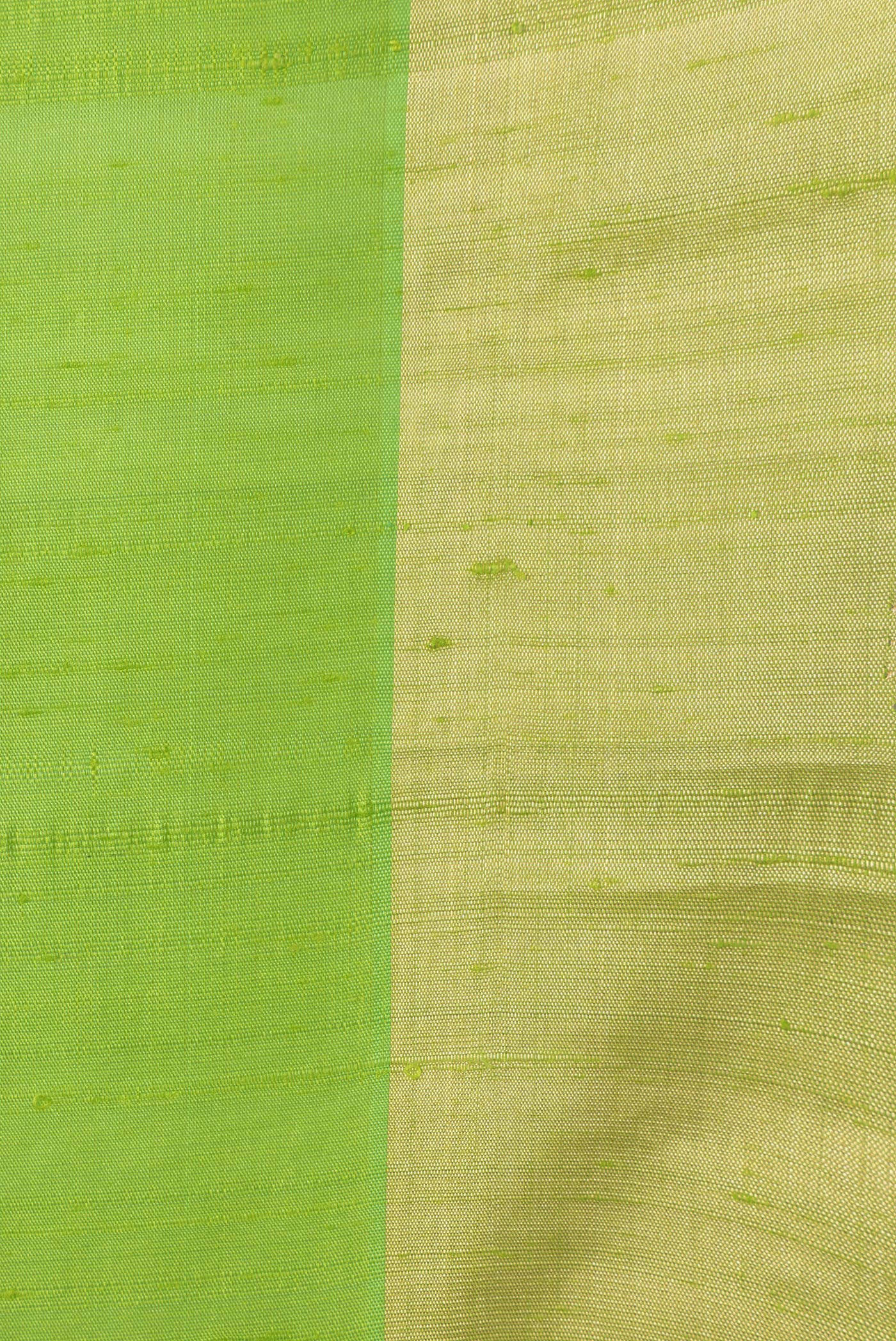 Border image of Parrot Green Dual Tone Raw Silk Saree with Plain Body and Zari Border. 