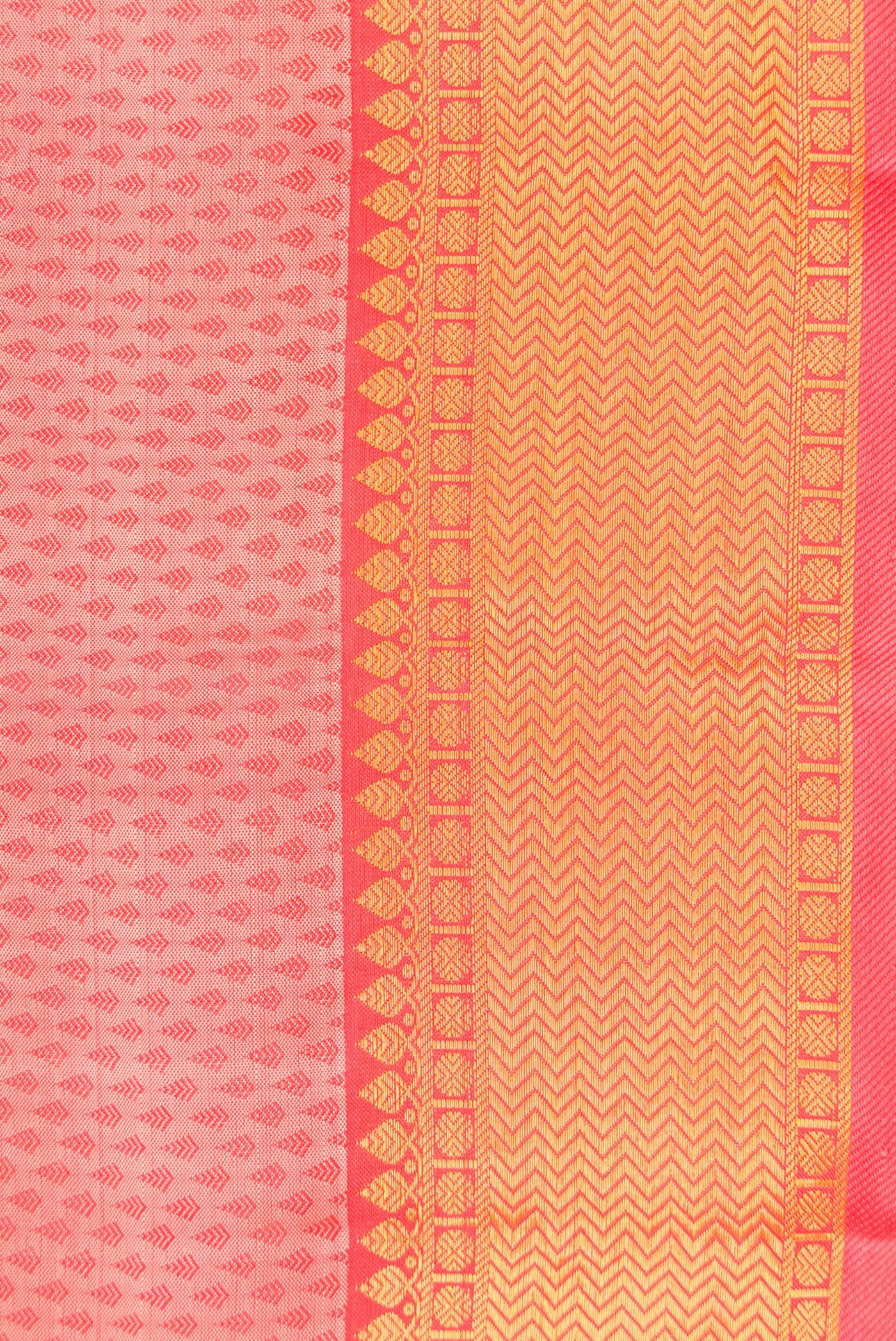 Border image of Peach Dual Tone Kanchipuram Silk Saree with Jacquard design on the body and Zari Border. 