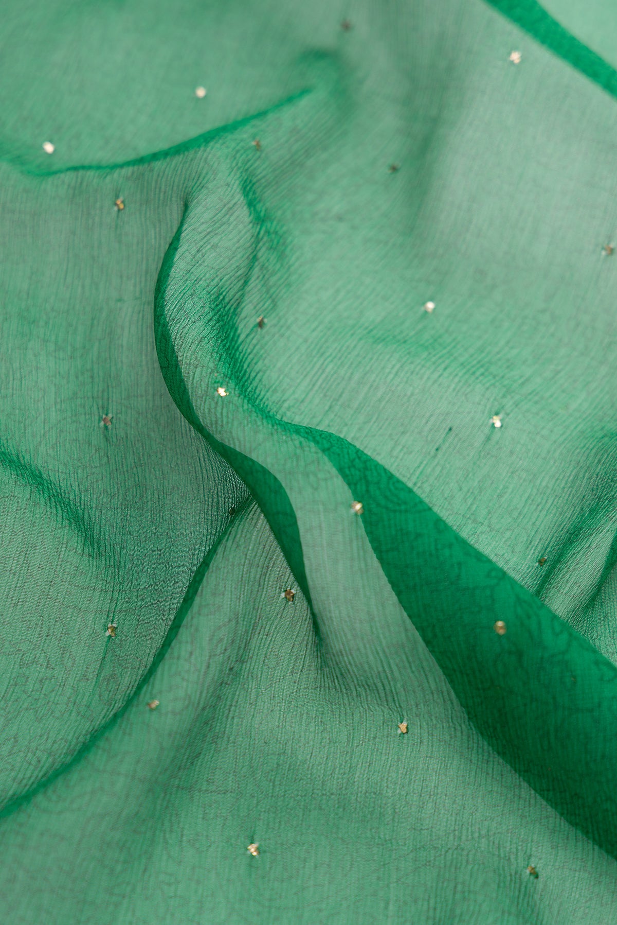Close up of Green Dual Tone Chiffon Saree with Embroidery on the body and Embroidery Border.  displaying folds