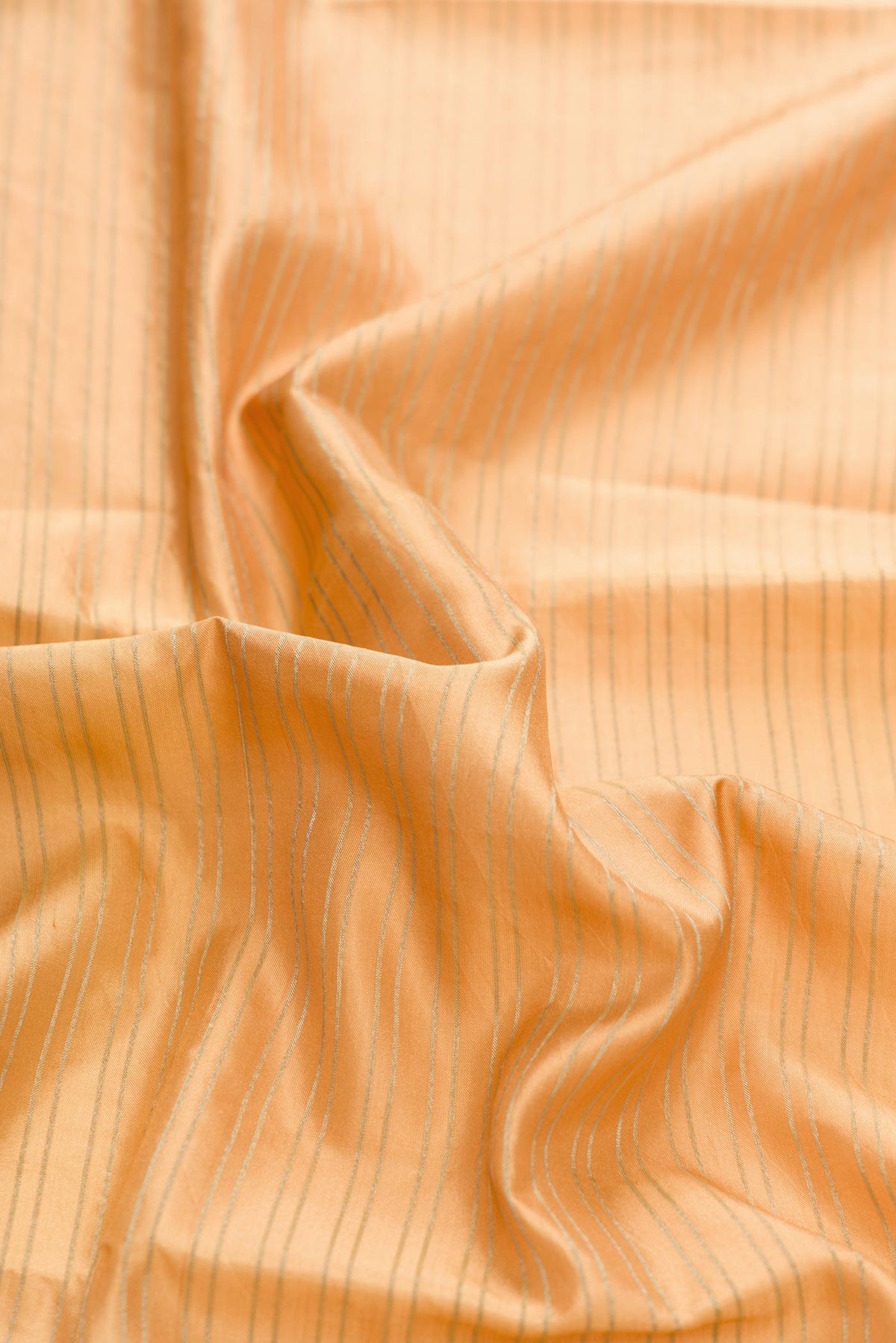 Close up of Beige Dual Tone Kanchipuram Silk Saree with Stripes on the body and Printed Border displaying folds
