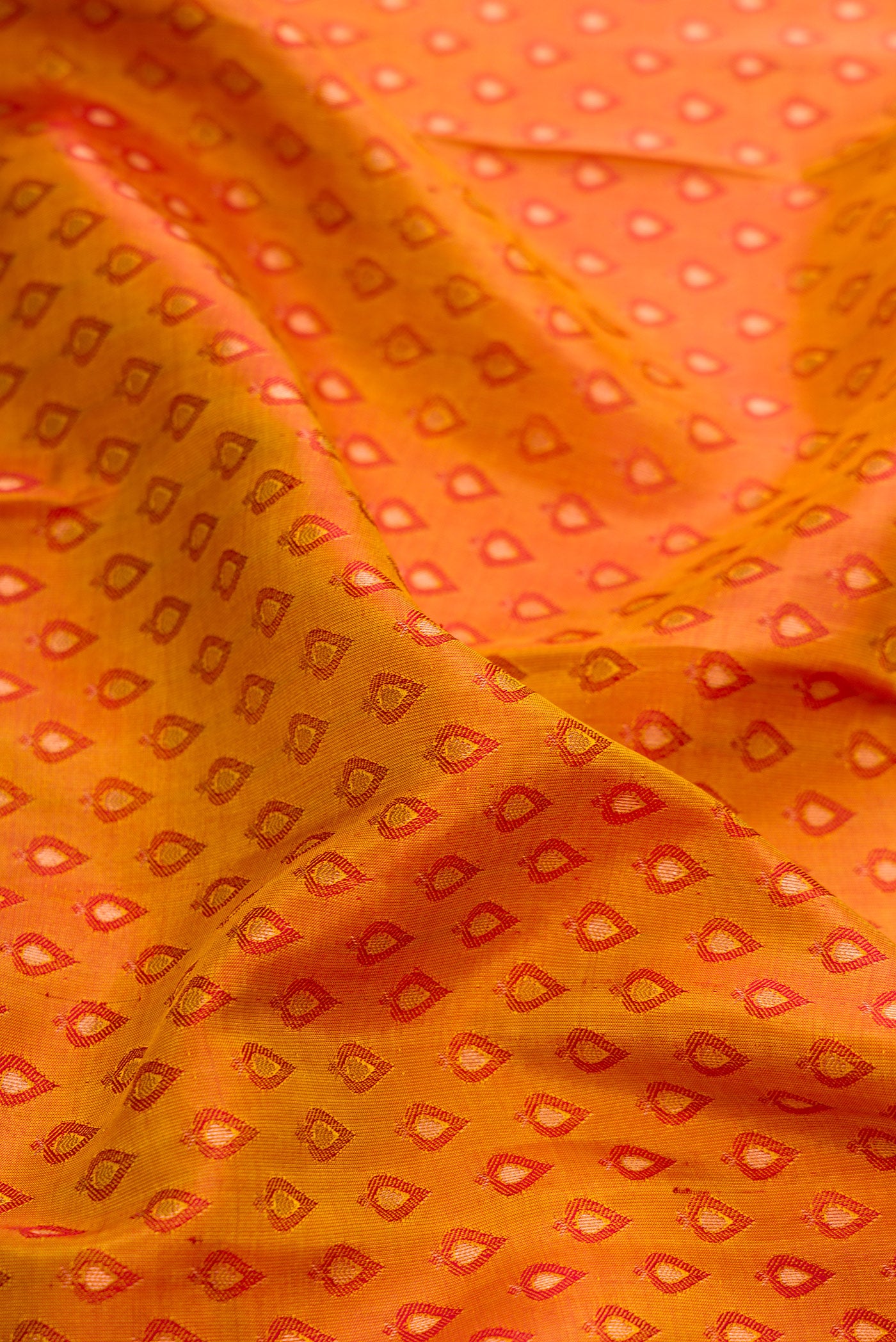 Close up of Mustard Dual Tone Kanjivaram Silk Saree with Jacquard design on the body and Zari Border.  displaying folds