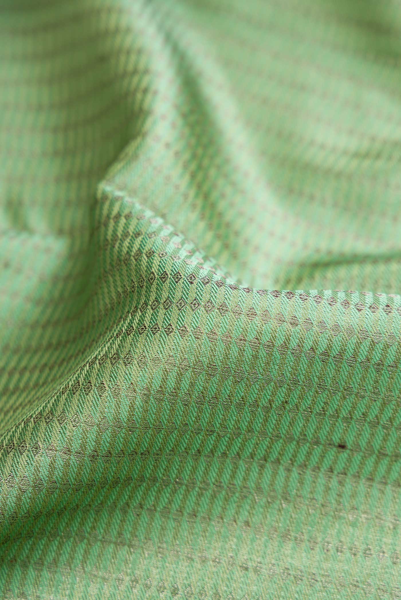 Close up of Pista Green Dual Tone Kanjivaram Silk Saree with Zari Brocade on the body and Zari Border.  displaying folds