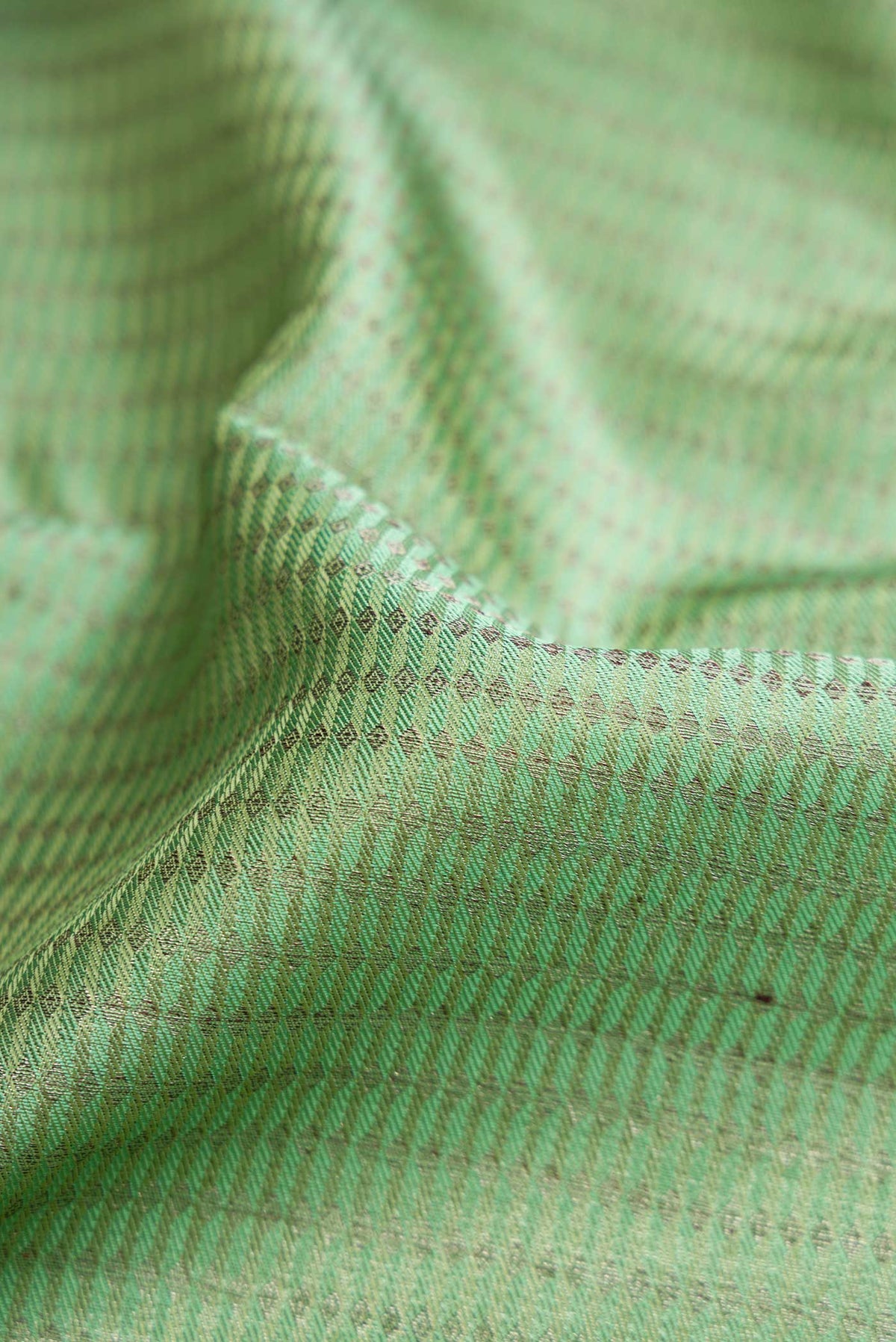 Close up of Pista Green Dual Tone Kanjivaram Silk Saree with Zari Brocade on the body and Zari Border.  displaying folds