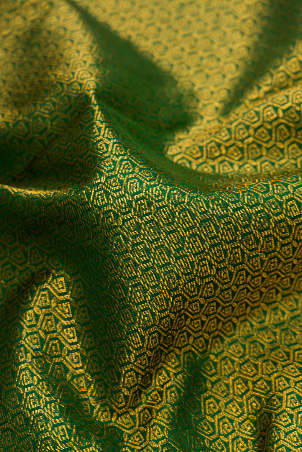 Close up of Green Dual Tone Kanjivaram Silk Saree with Zari Brocade on the body and Zari Border.  displaying folds