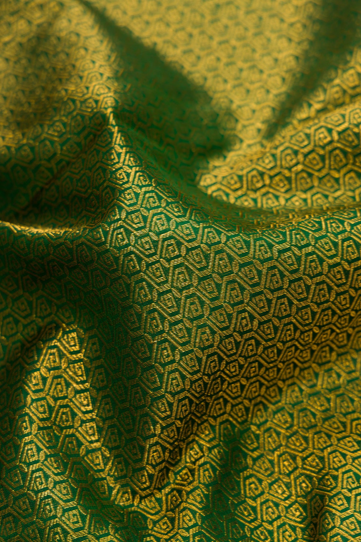 Close up of Green Dual Tone Kanjivaram Silk Saree with Zari Brocade on the body and Zari Border.  displaying folds