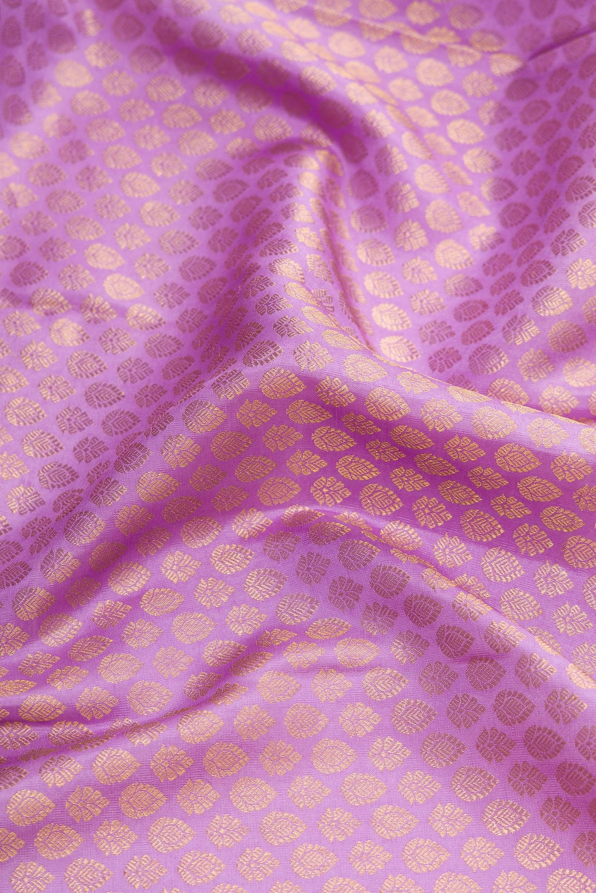 Close up of Lavender Dual Tone Kanchipuram Silk Saree with Zari Brocade on the body and Zari Border.  displaying folds