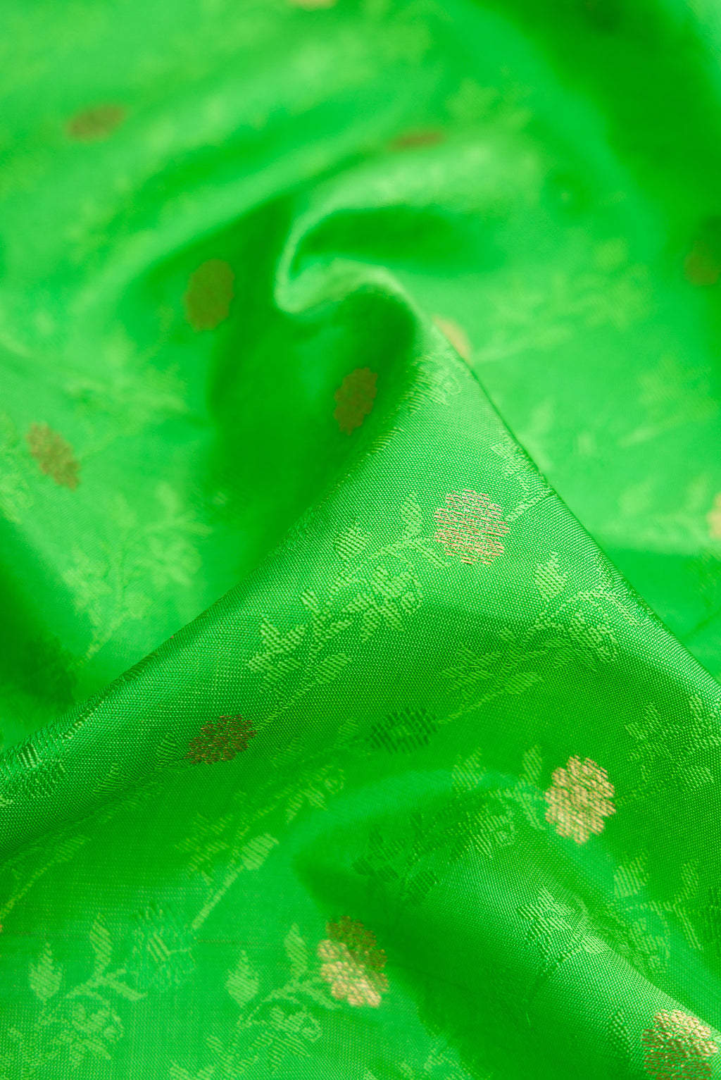 Close up of Parrot Green Dual Tone Kanchipuram Silk Saree with Jacquard With Zari Butta on the body and Zari Border.  displaying folds