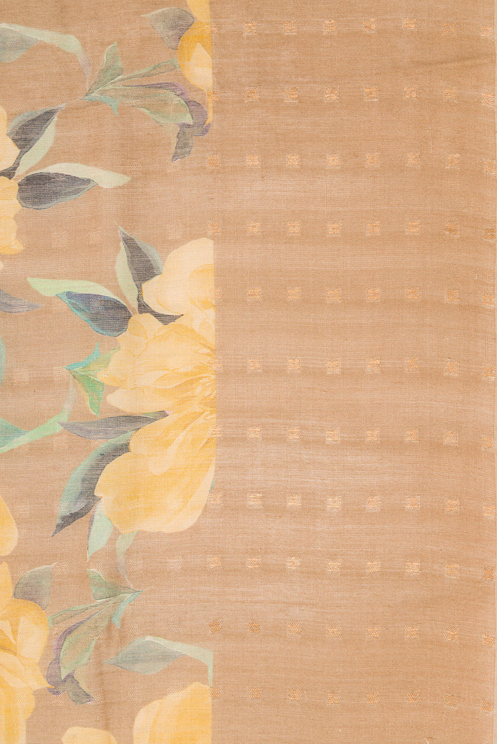 Border image of Beige Dual Tone Tussar Silk Saree with Printed design on the body and Embroidery Border. 