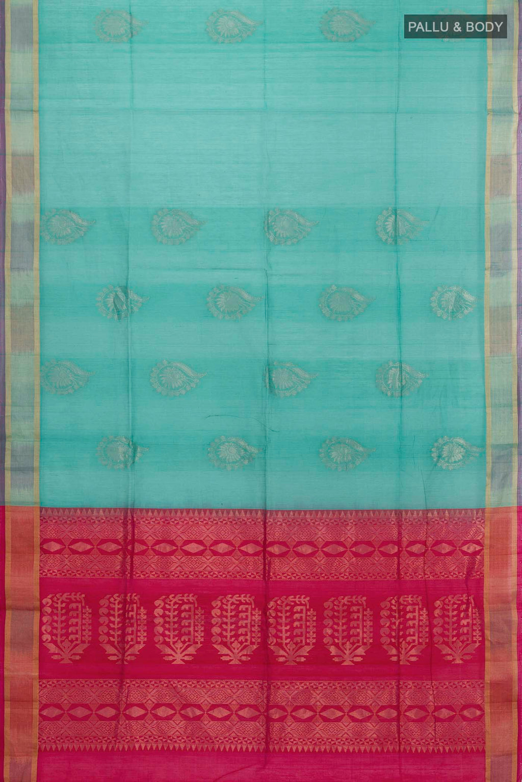 pallu body